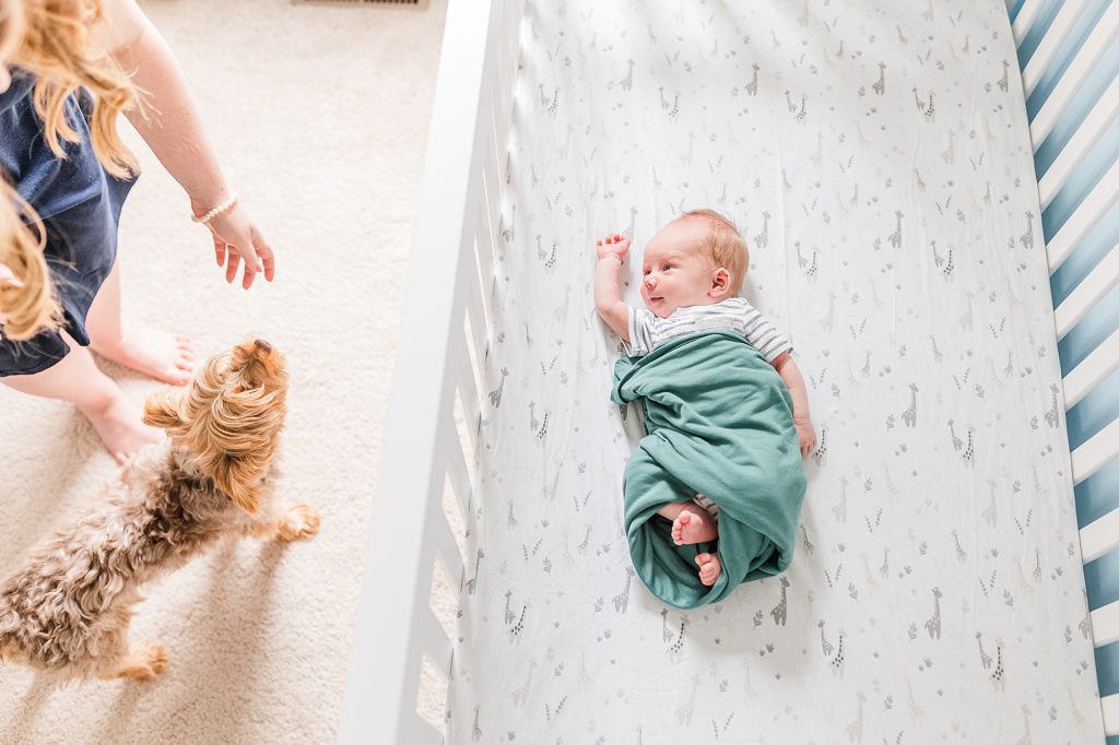 baby sleeps in crib while dog looks in on baby boy