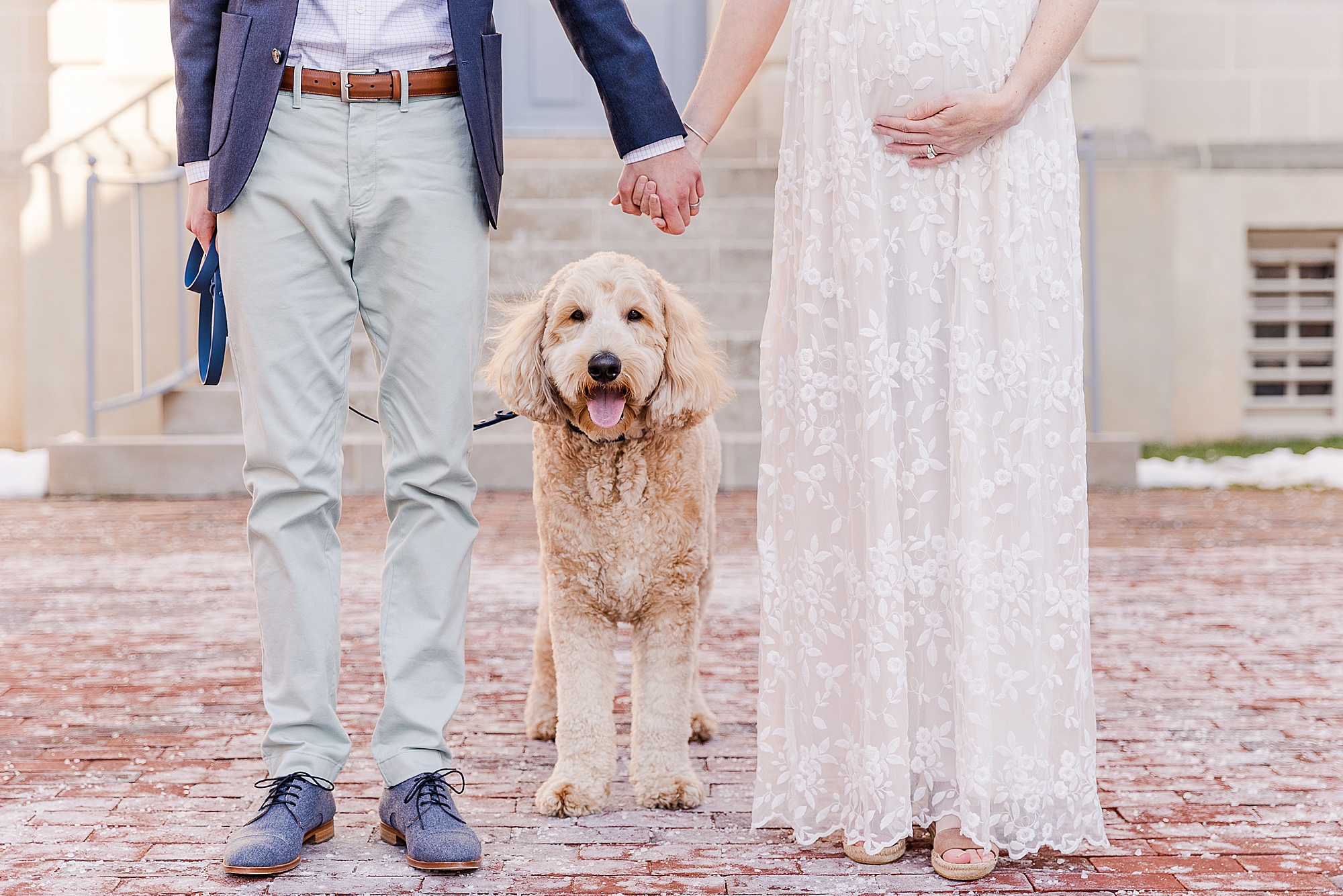 couple holds hands while dig stands between them and mom holds belly