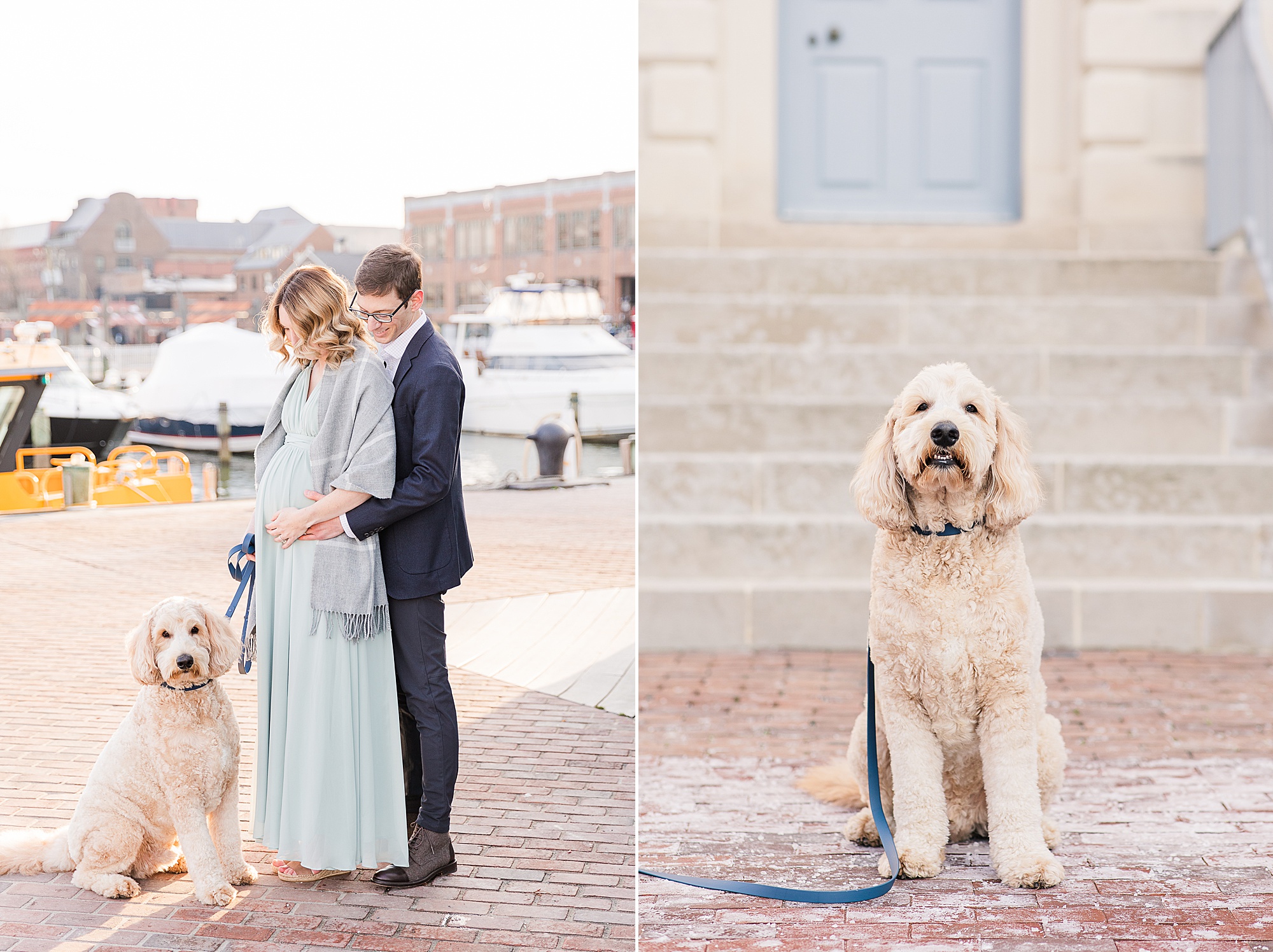 expecting parents pose with dog during Historic Alexandria VA maternity session