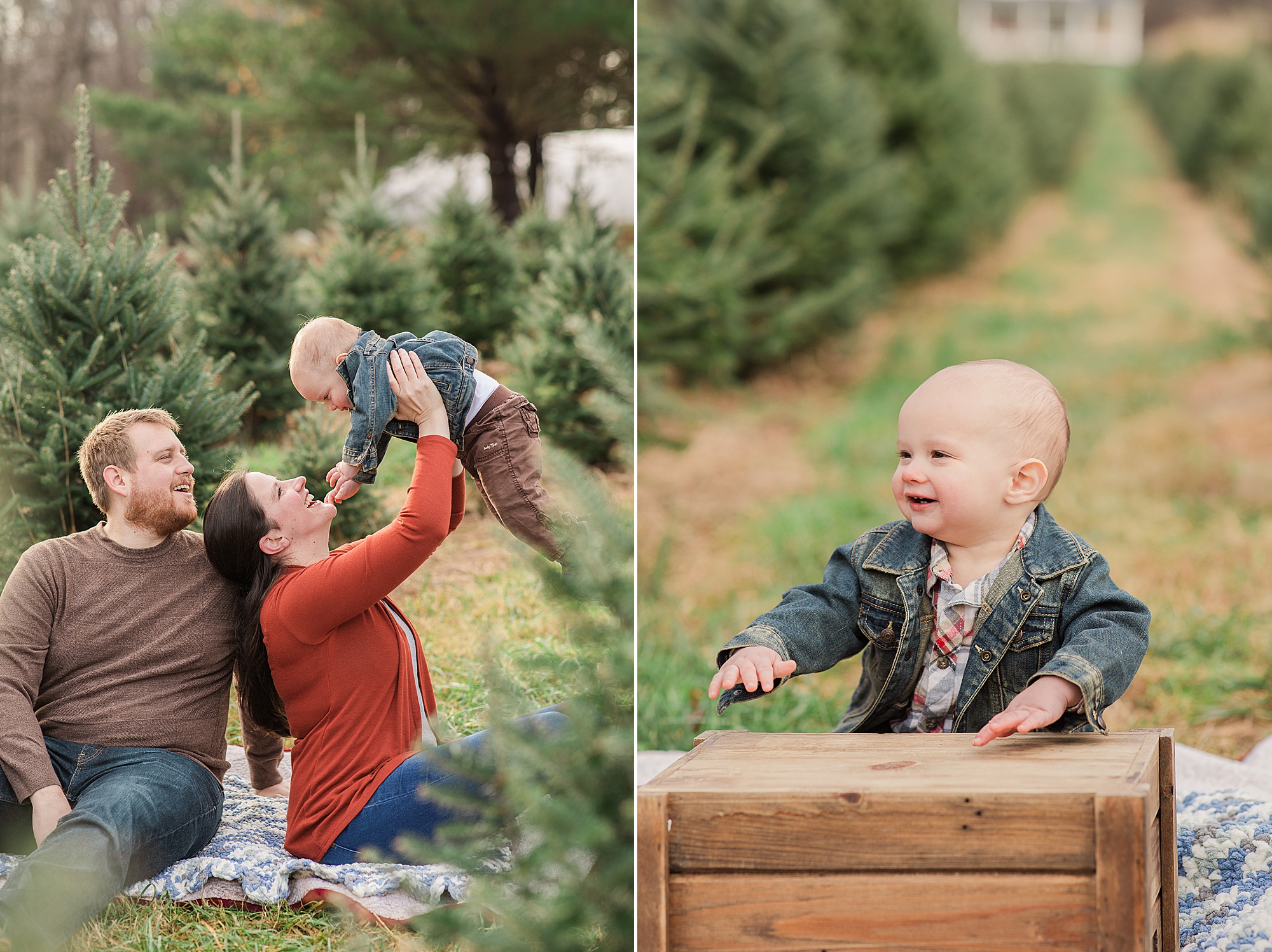 family plays with baby during Greenway Tree Farm lifestyle family portraits