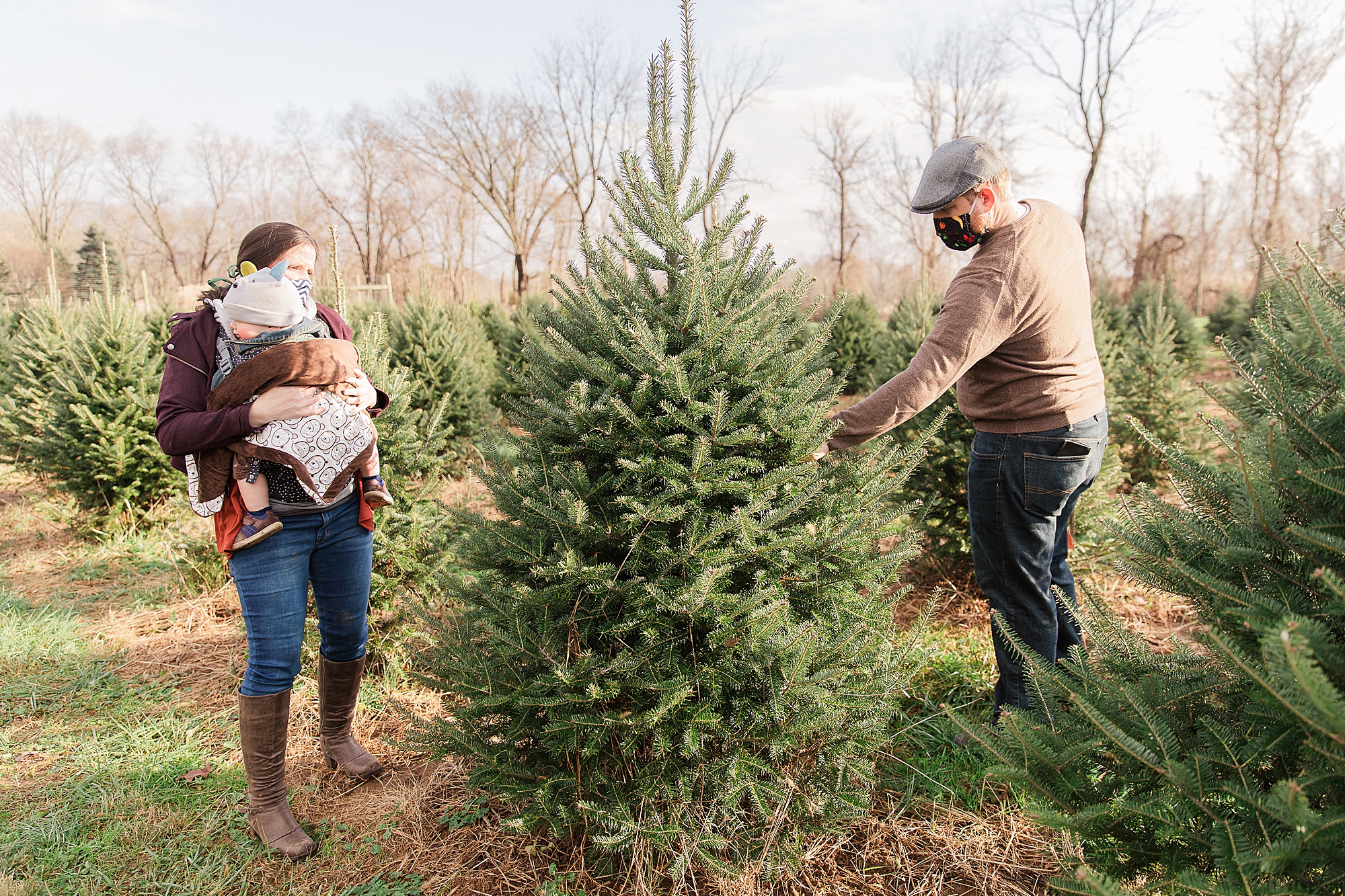 family chooses Christmas tree during Greenway Tree Farm family portraits