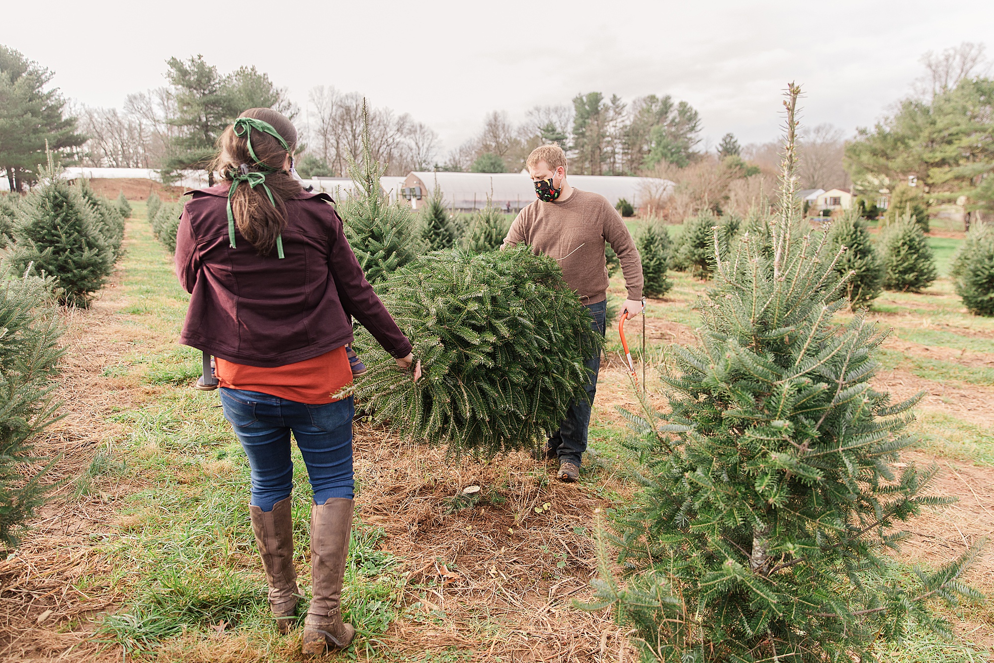 family looks at Christmas tree at Greenway Tree Farm