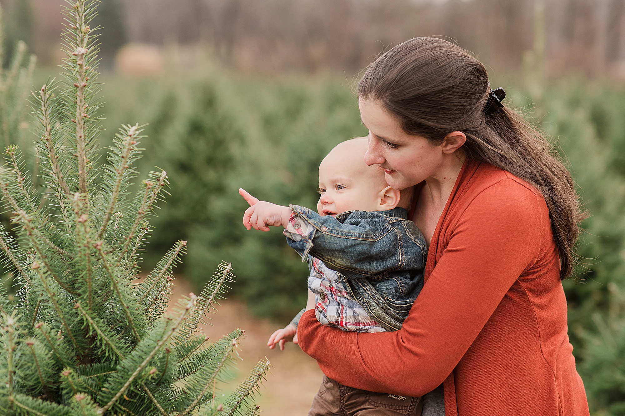 baby reaches for Christmas tree at tree farm