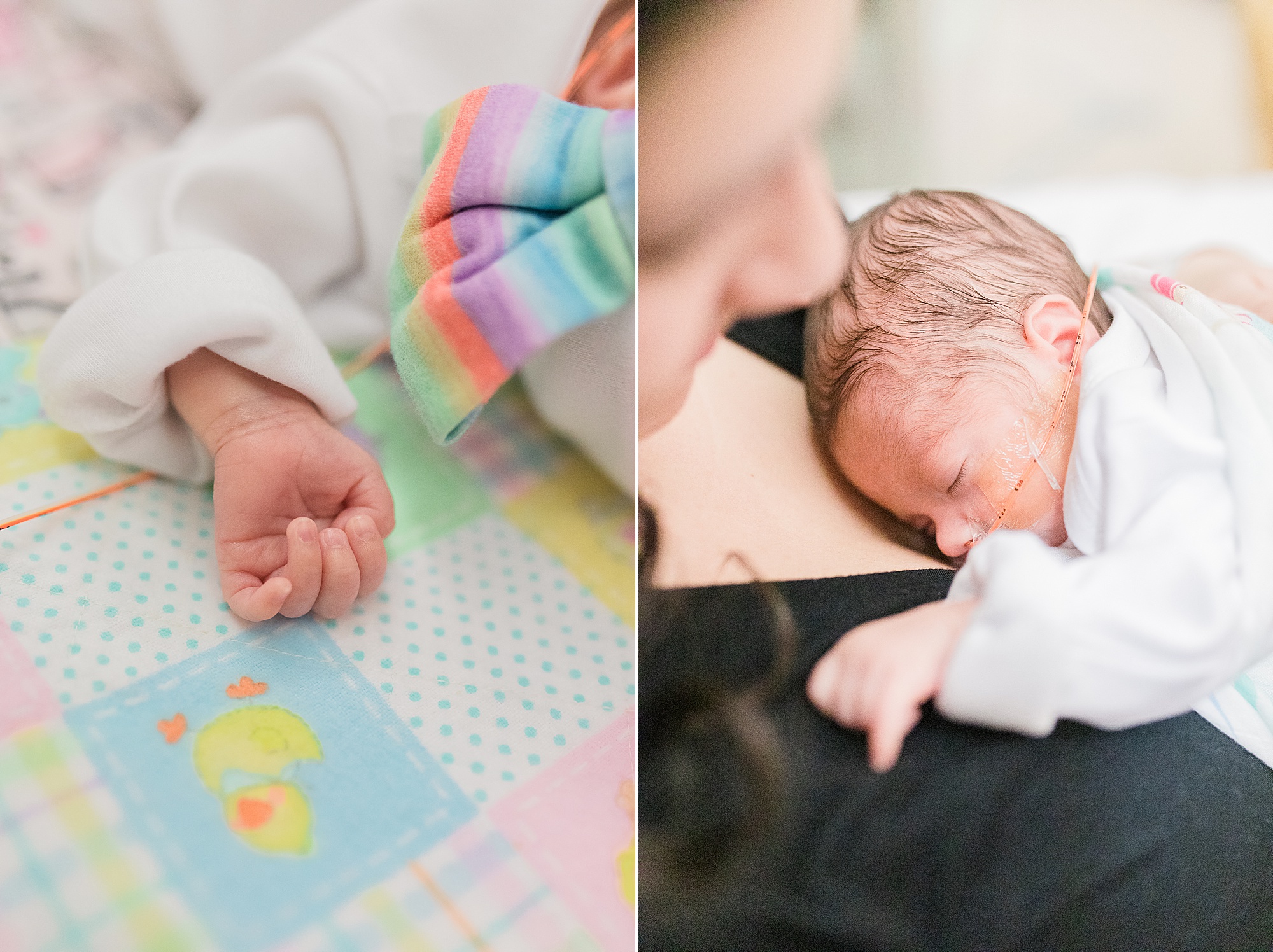 baby girl sleeps during NICU newborn portraits