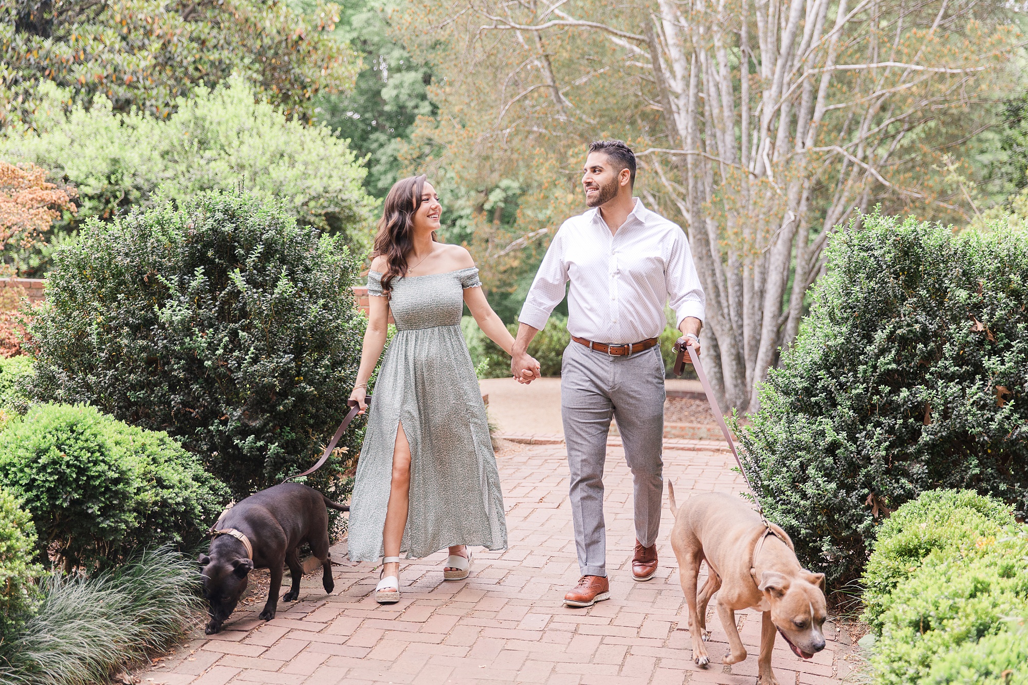 couple walks through the National Arboretum during family photos with dogs