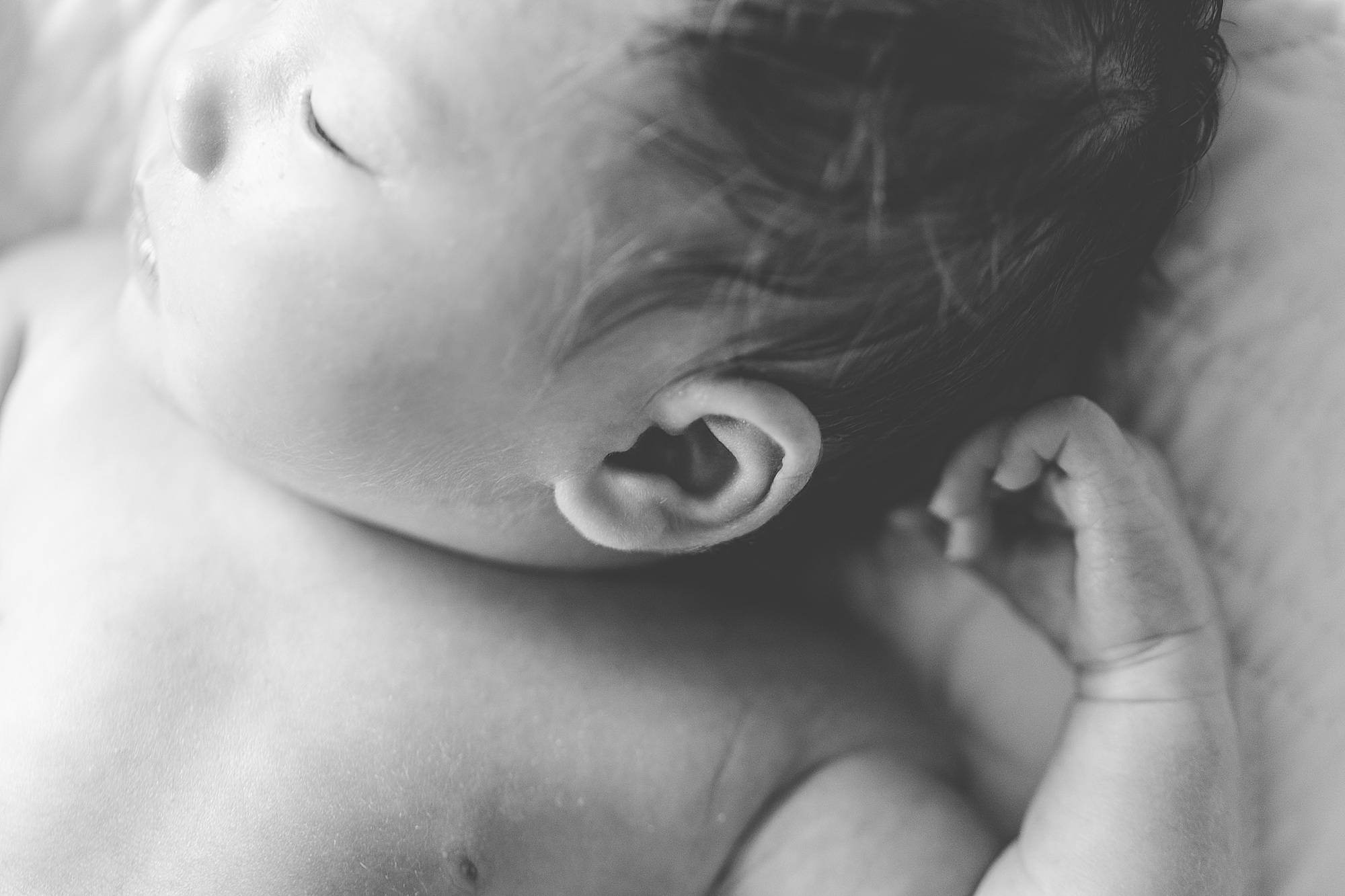 baby's ear closeup photographed during lifestyle newborn portraits