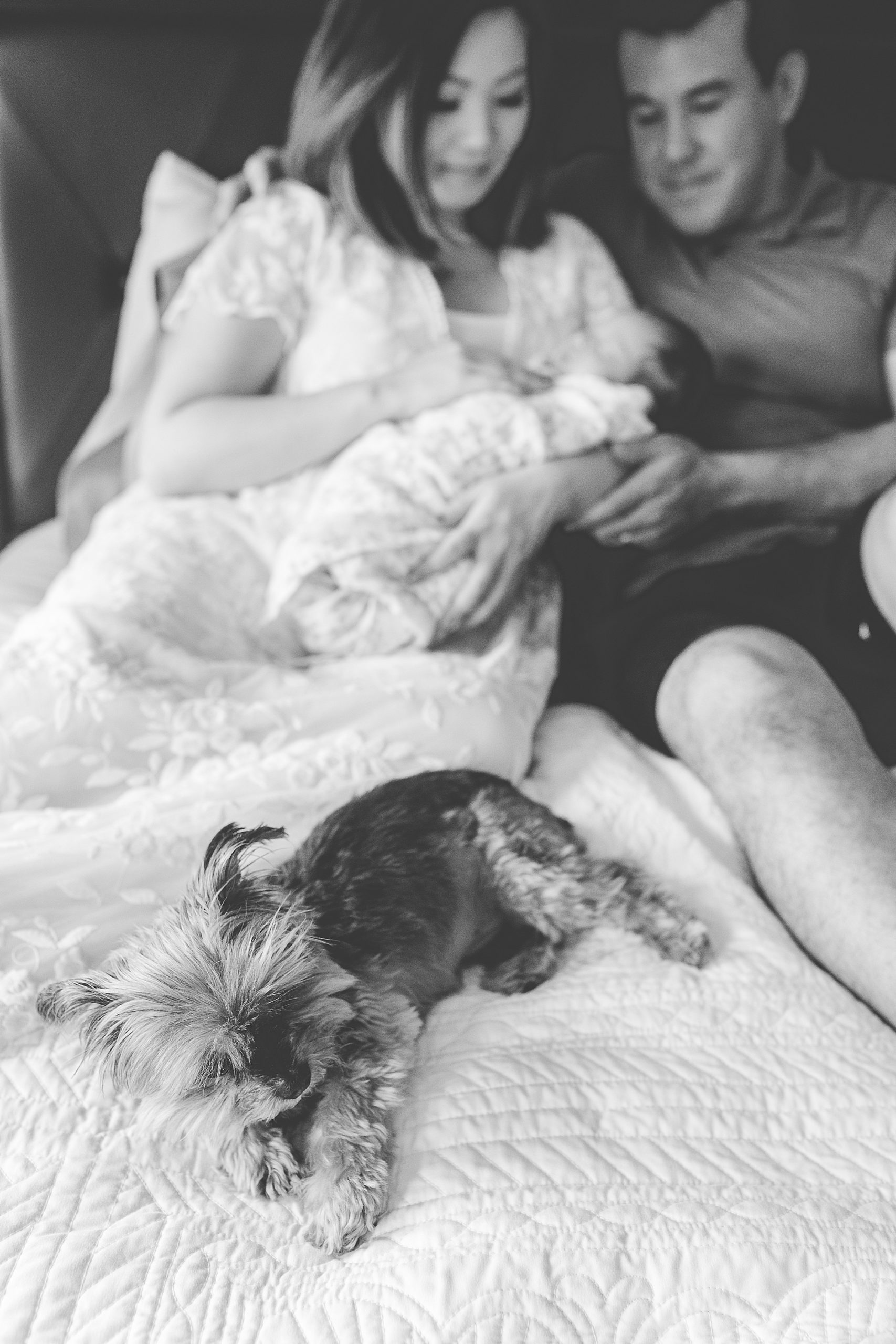 parents hold newborn daughter while dog lays at end of the bed during lifestyle newborn portraits