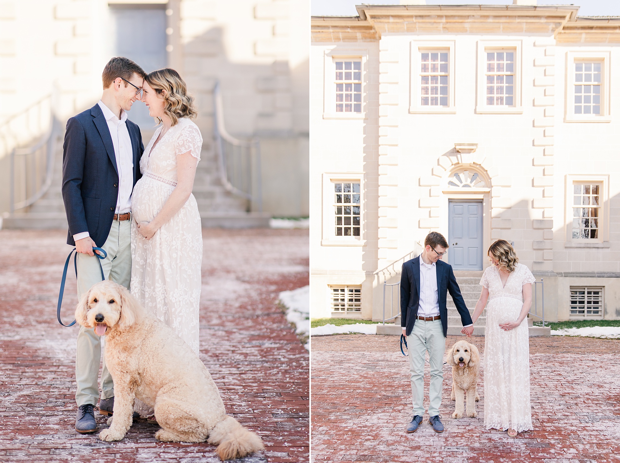 maternity portraits for couple with dog in Alexandria VA 