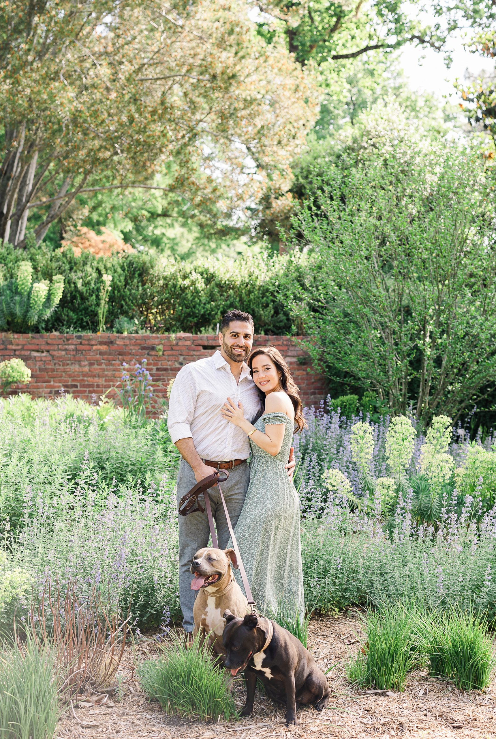 couple poses in Maryland garden with two dogs 