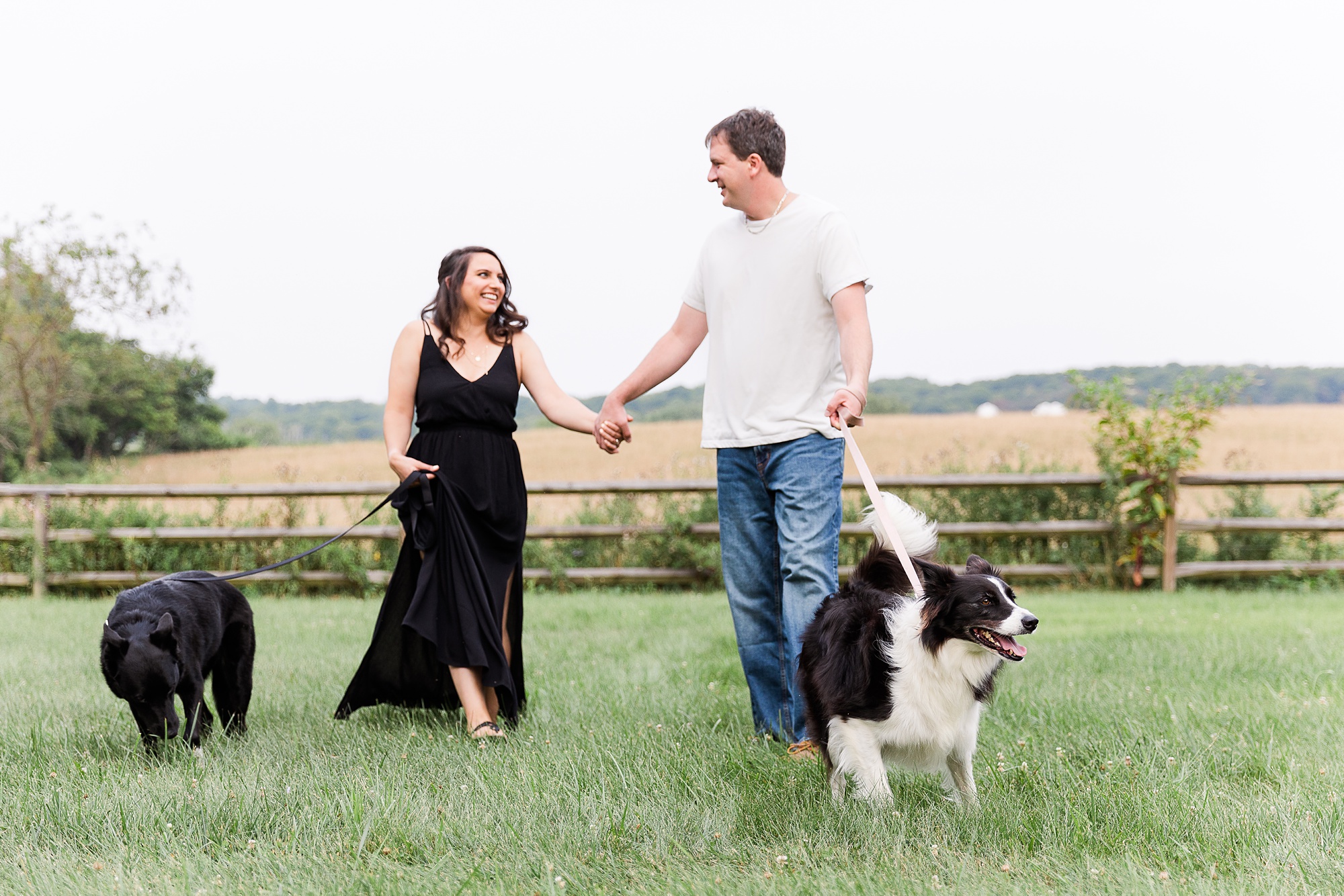 couple walks with two dogs in field during family portraits 