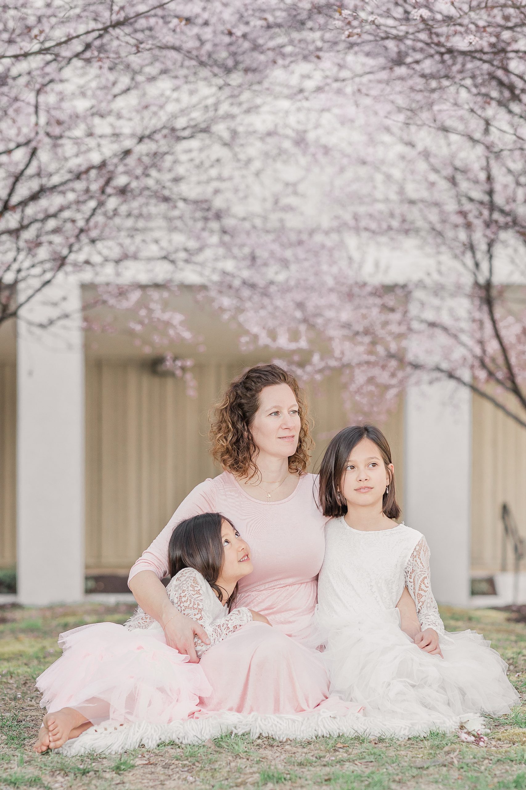 Tips for Cherry Blossom Portraits in the Spring in the DMV shared by Maryland family photographer Christina Tundo Photography