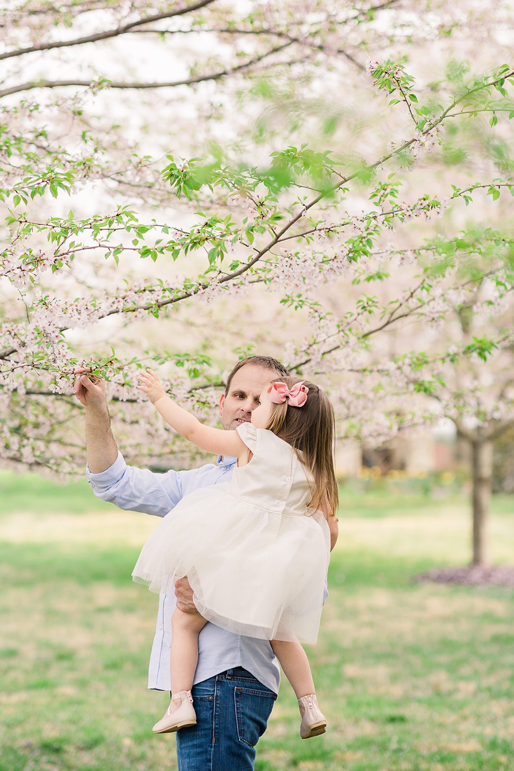 dad looks at blossoms with daughter during family photos in the spring