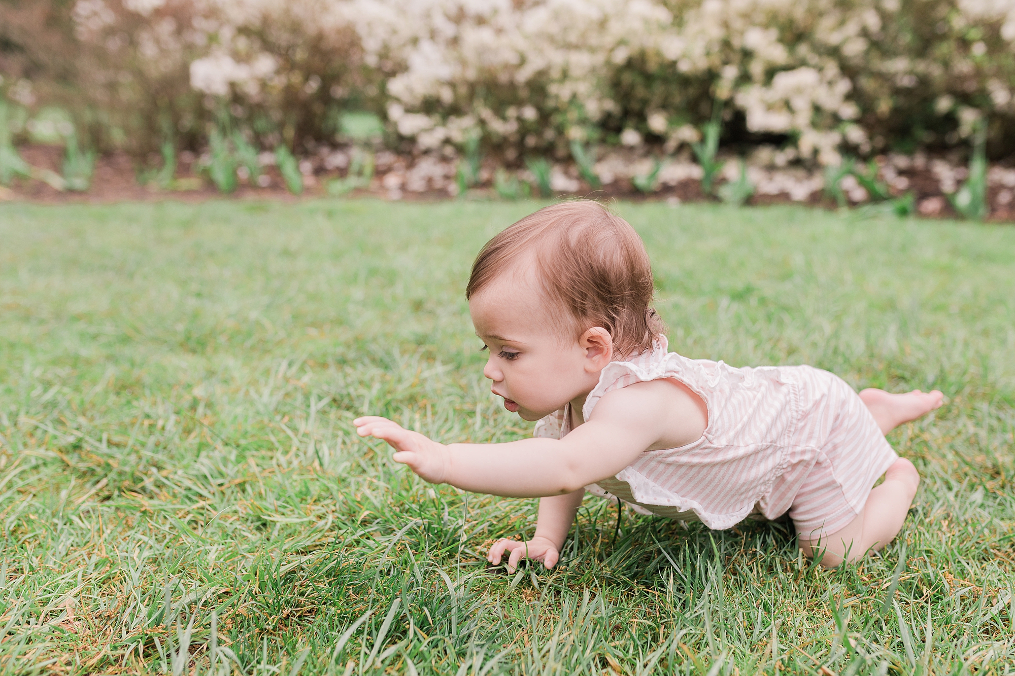 toddler crawls through grass at Sherwood Gardens