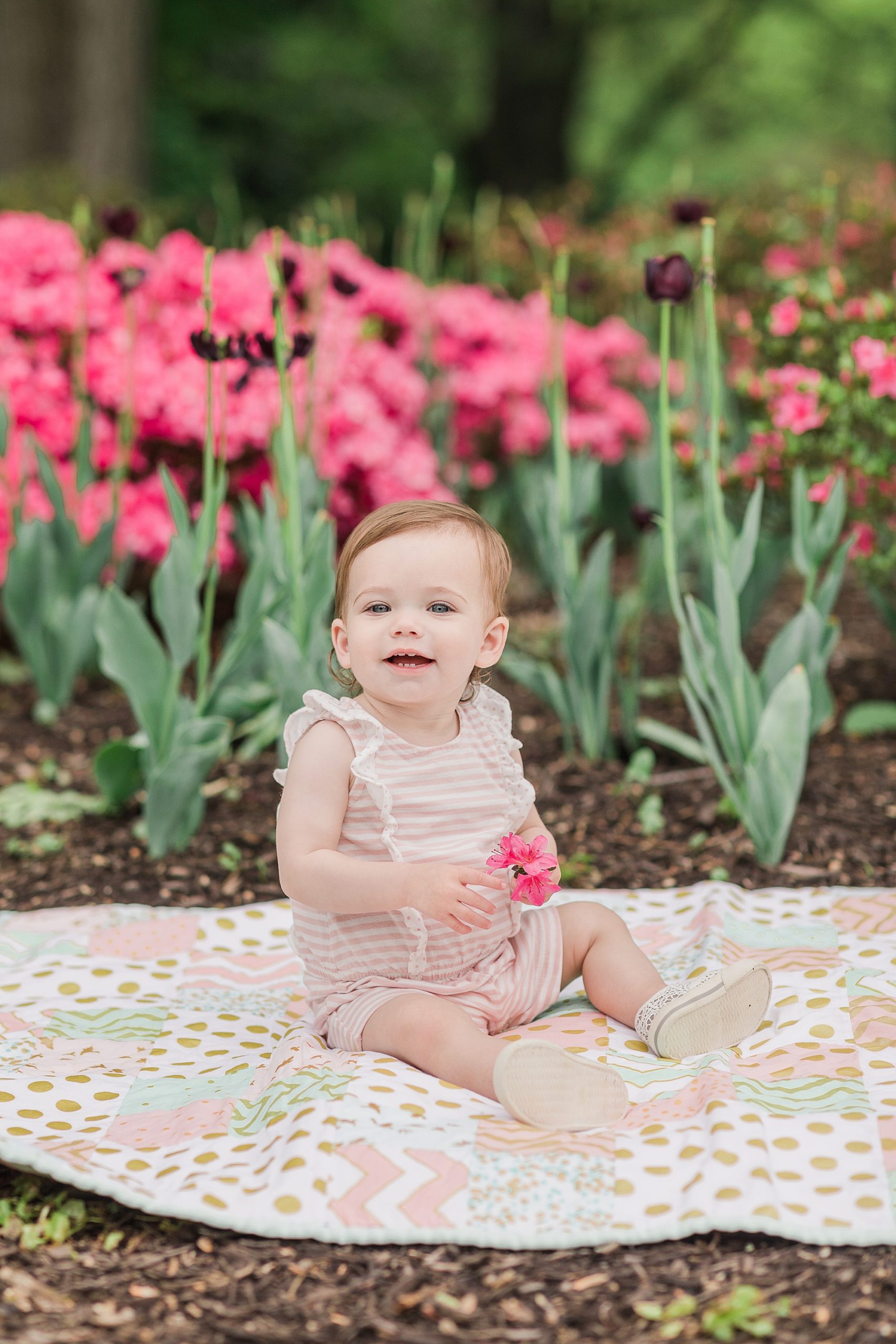 baby sits on blanket during milestone photos in Baltimore MD