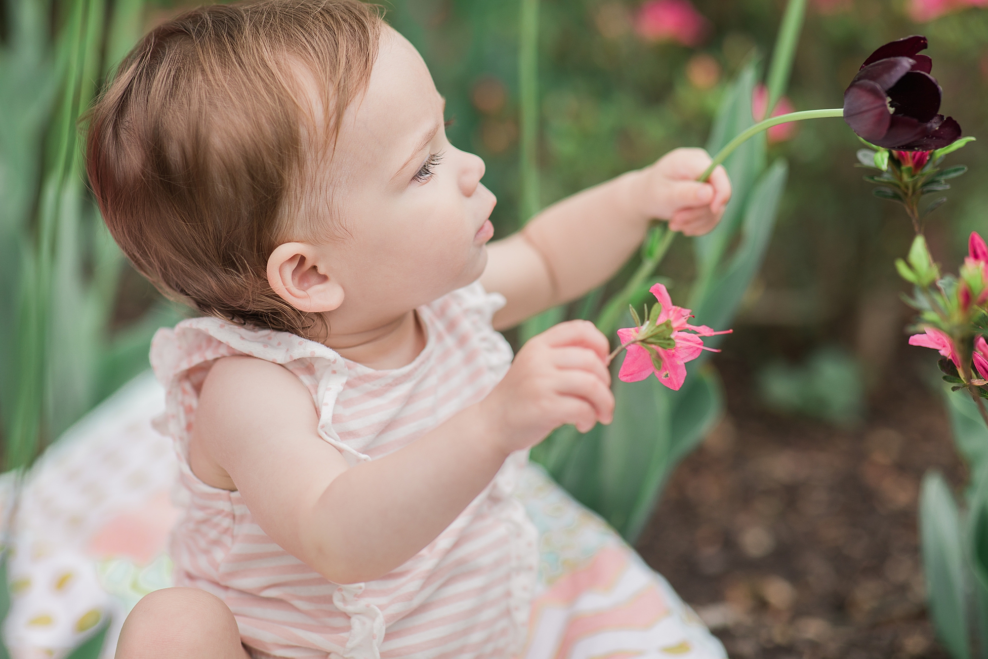 baby plays with flowers during Sherwood Gardens milestone photos