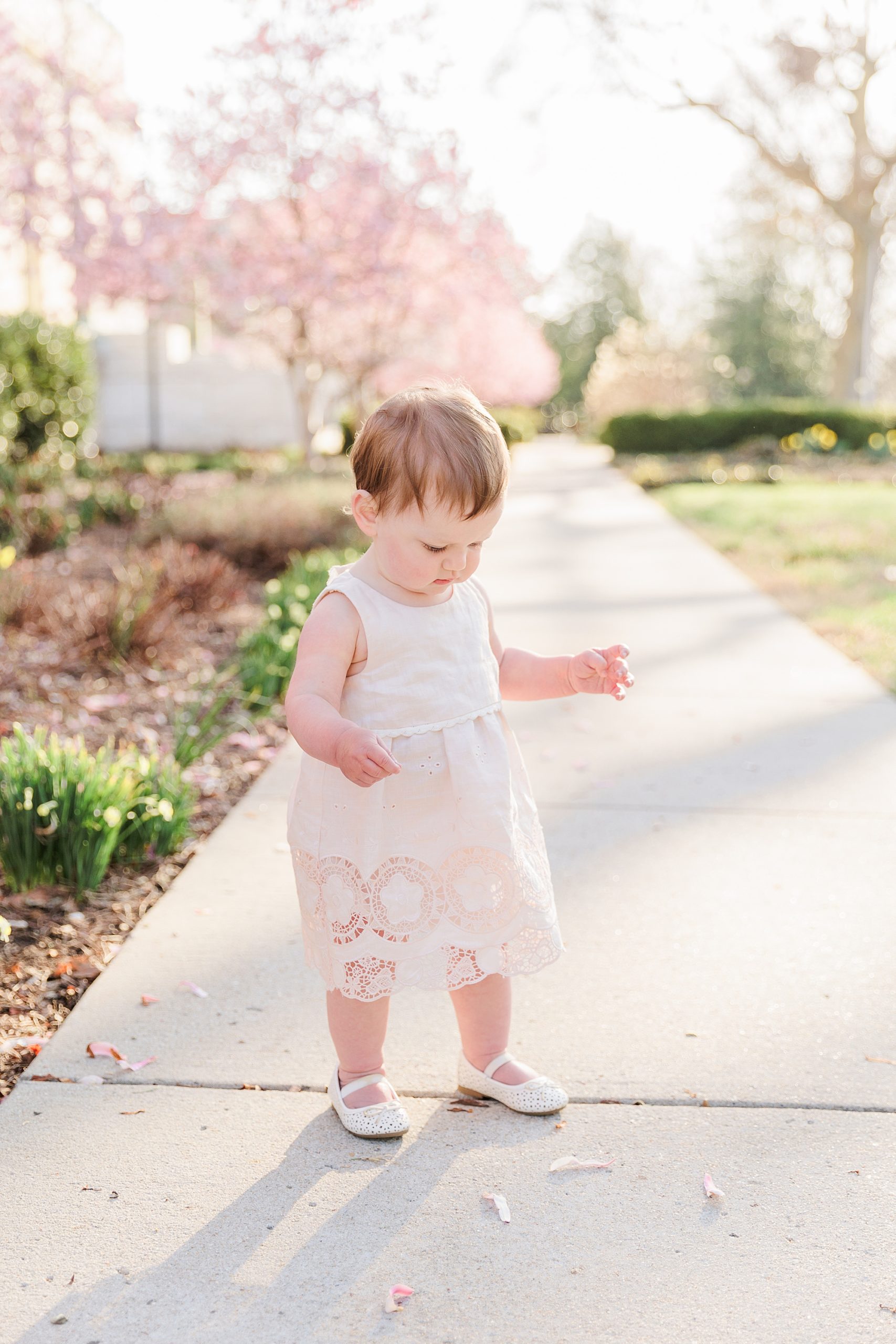 one year old walks on sidewalk during Constitutional Gardens family portraits