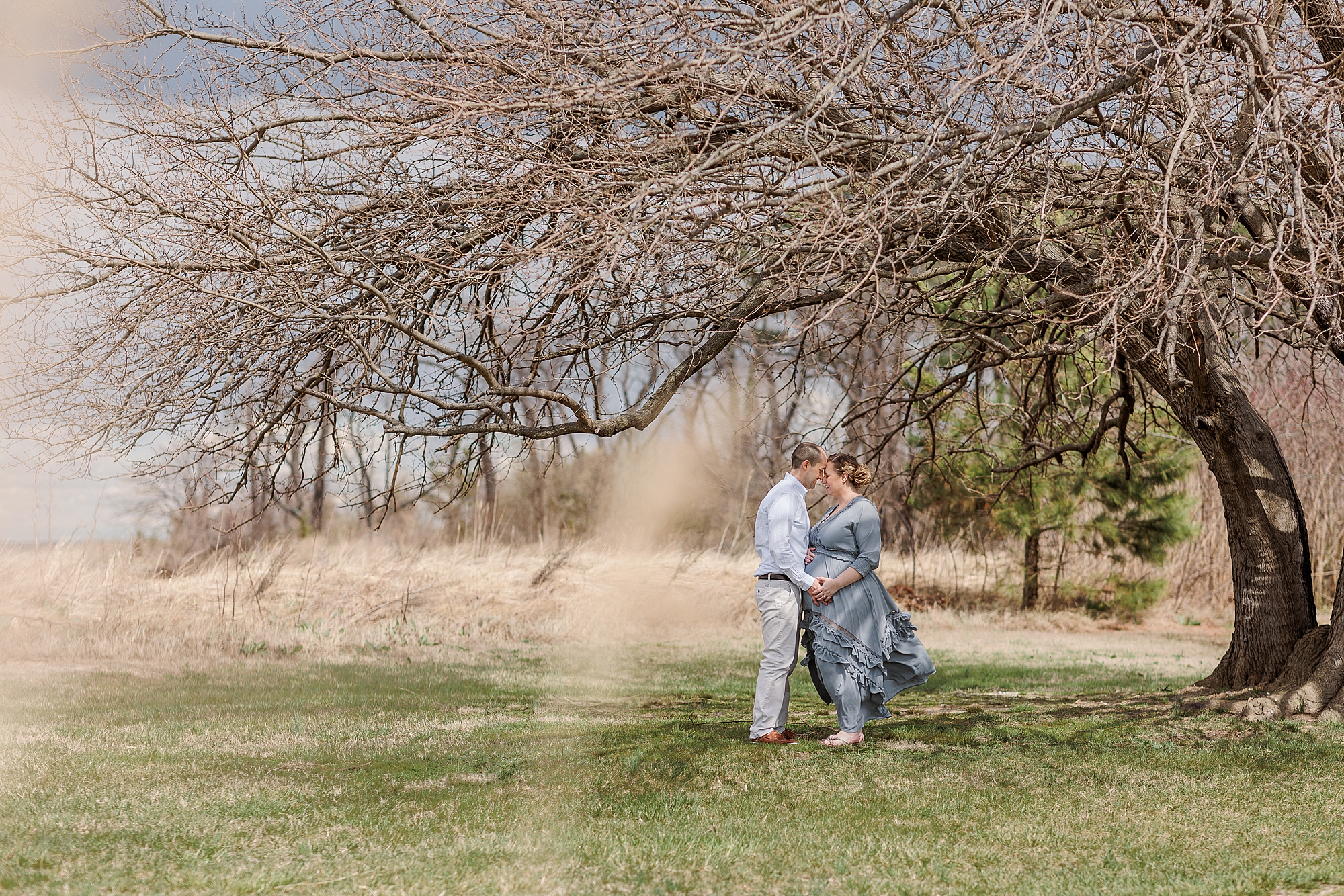 couple poses under tree in Maryland during maternity photos