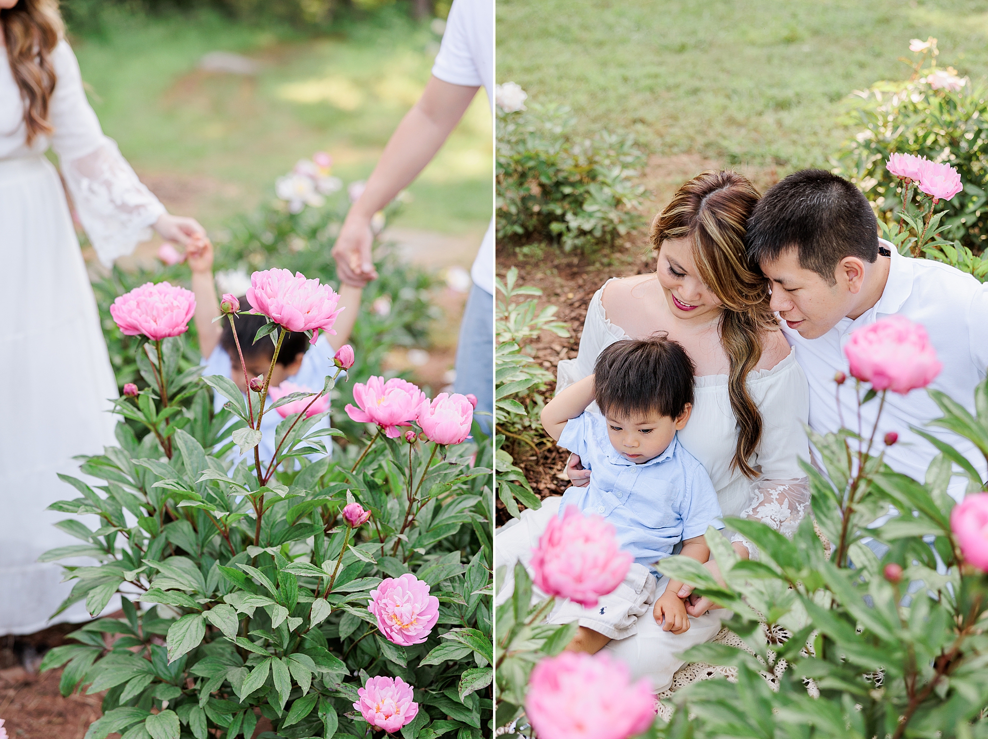 parents sit with son in field of peonies 