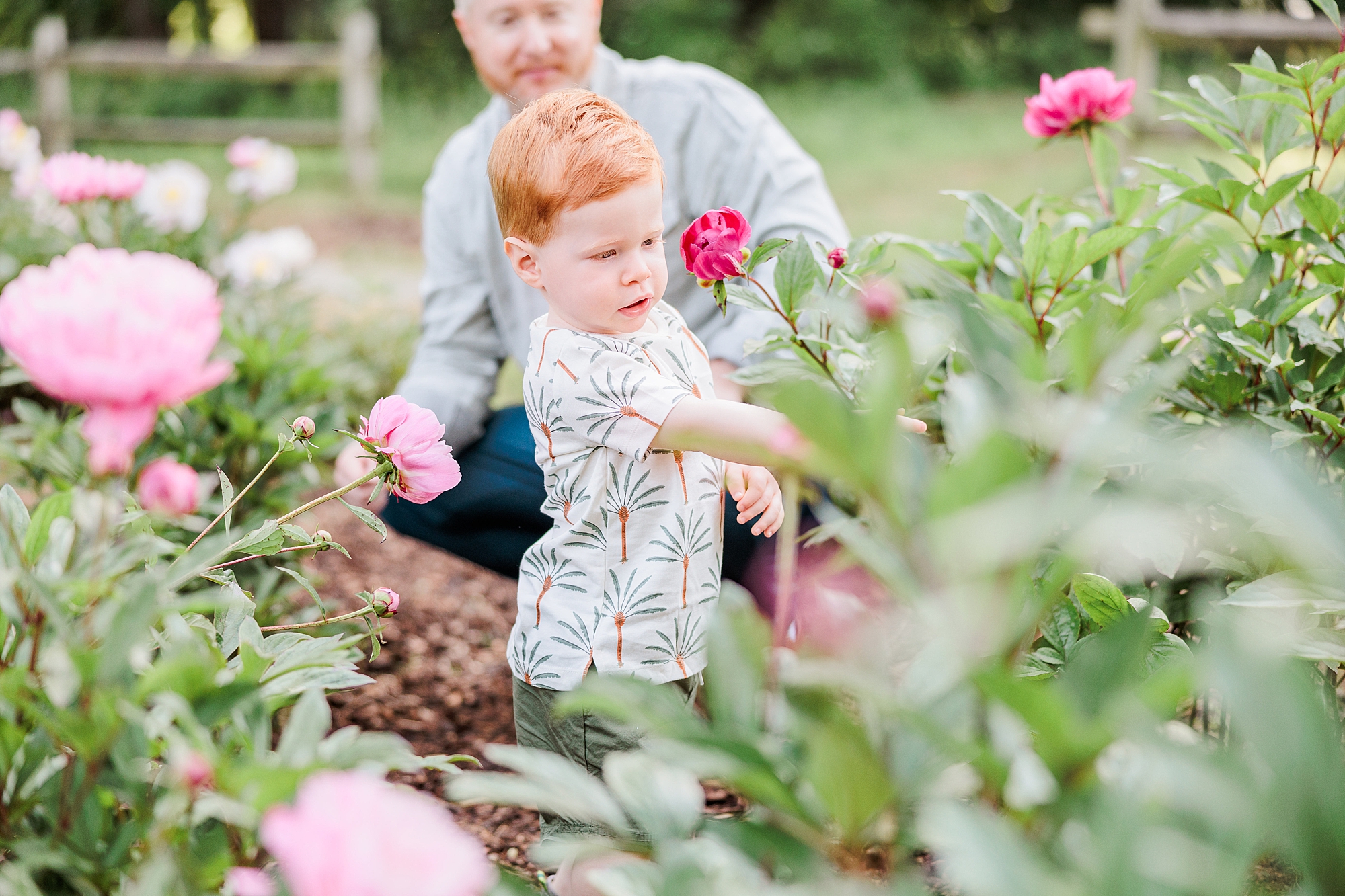 toddler walks through flowers during Seneca Creek Park parenthood portraits