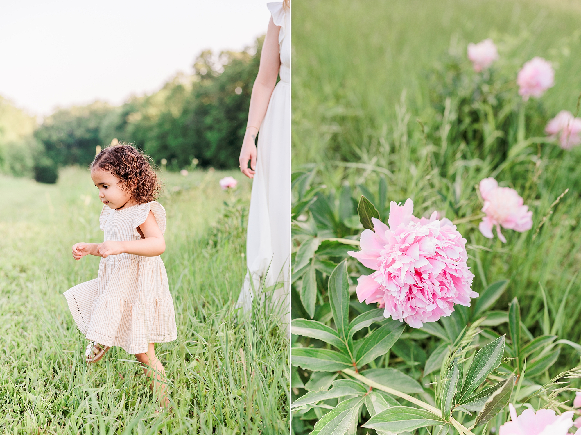 girl rush through field of pink peonies in Maryland