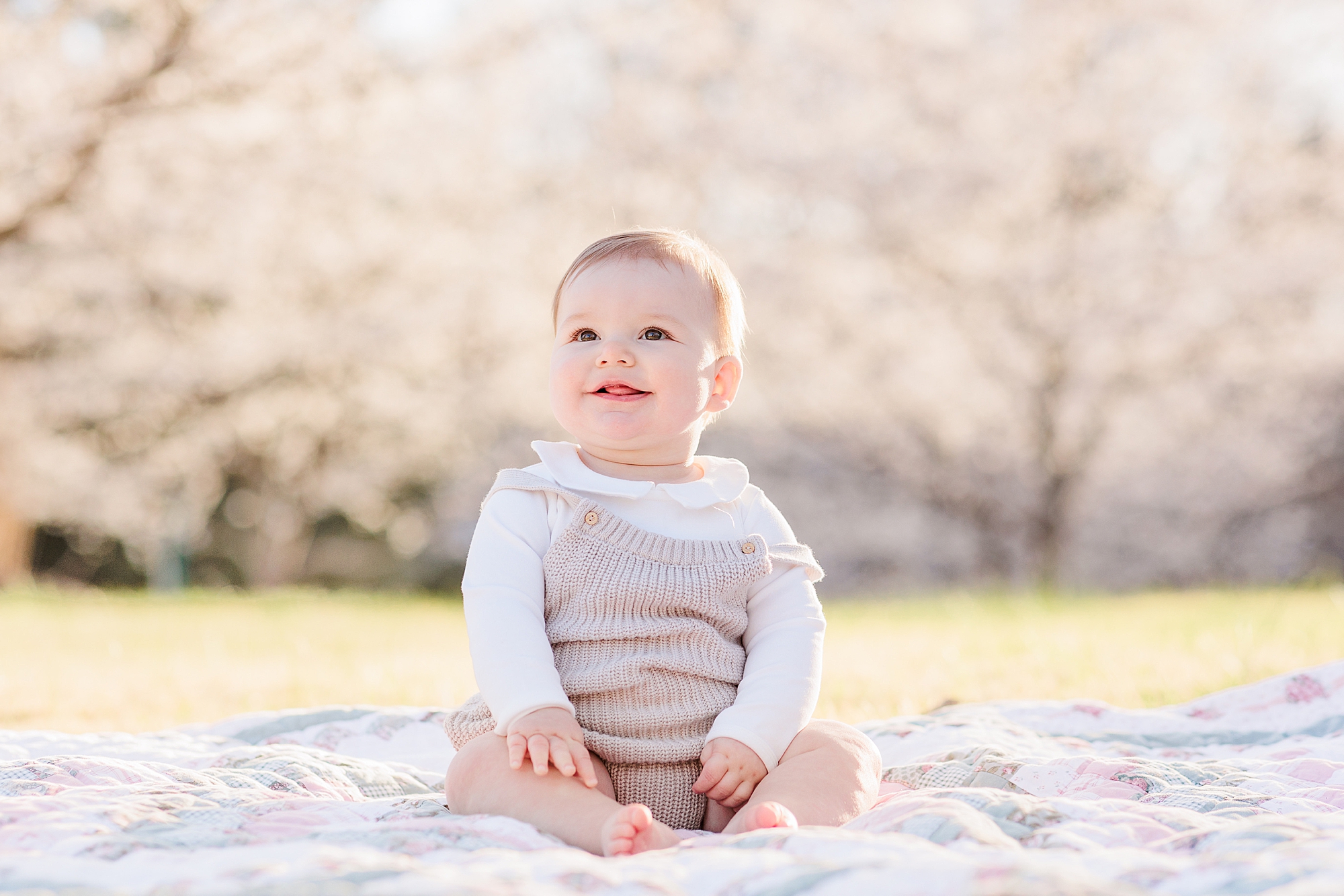 milestone portraits for your baby in Maryland: inspiration from Christina Tundo Photography 