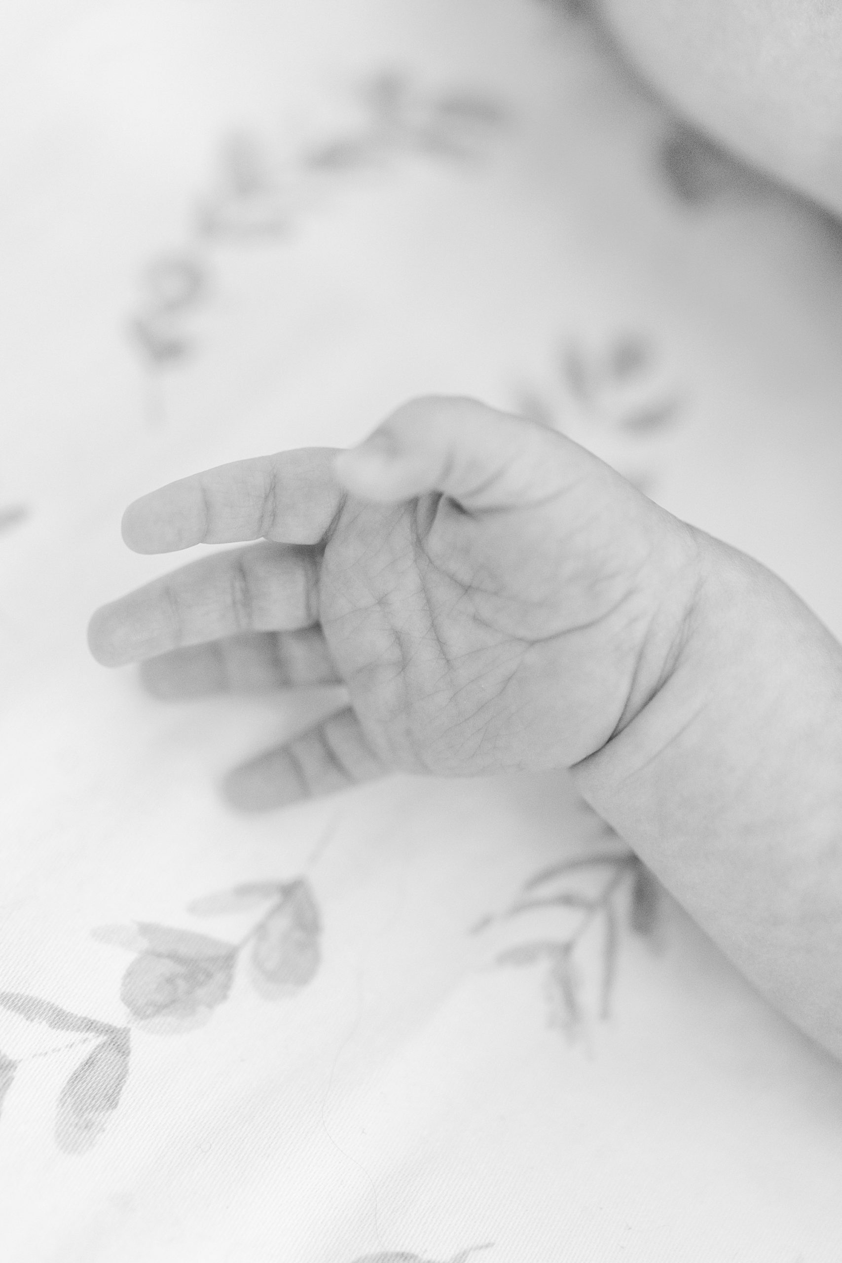 black and white closeup of baby's hand