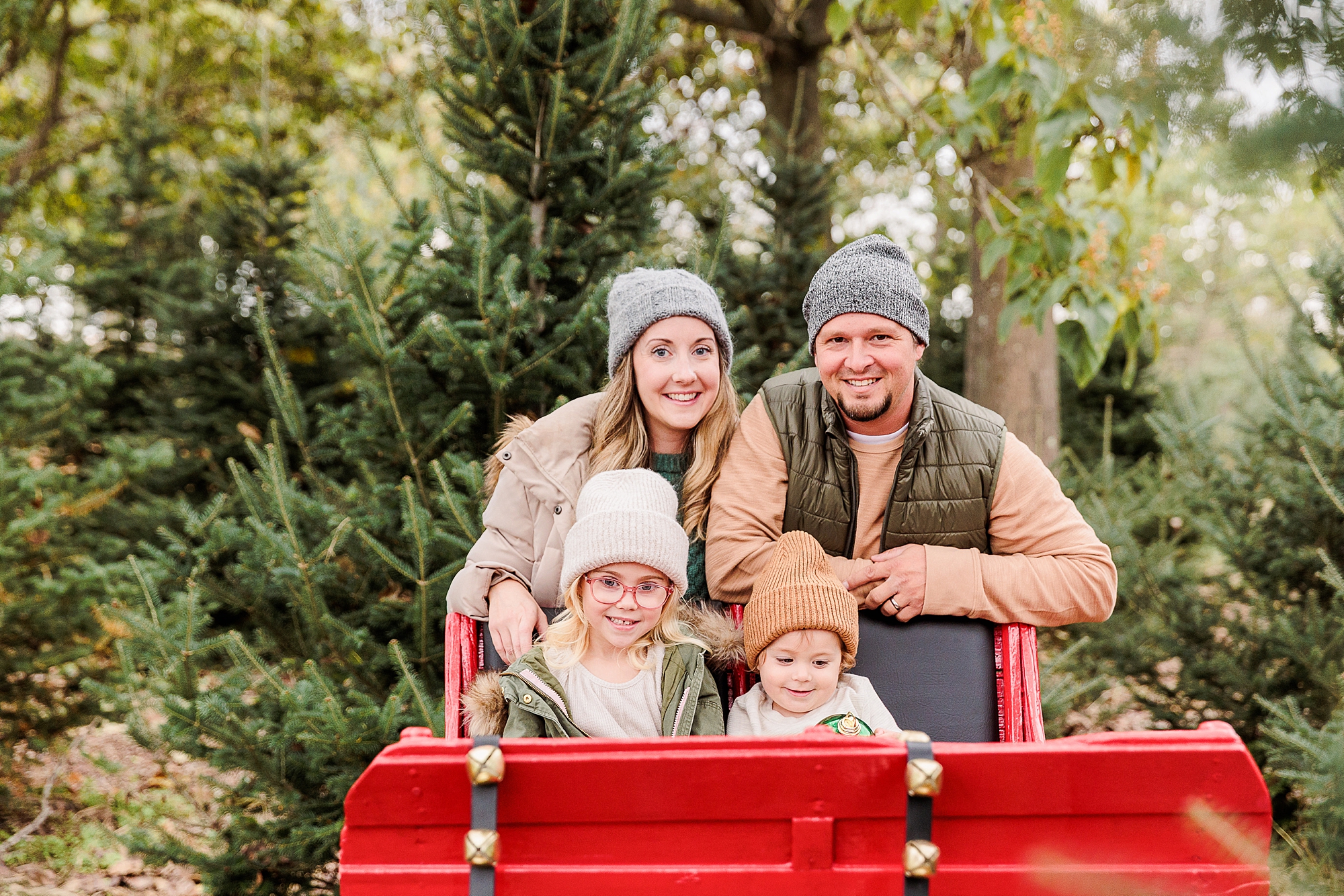 parents stand behind red sleigh during Christmas tree farm portraits