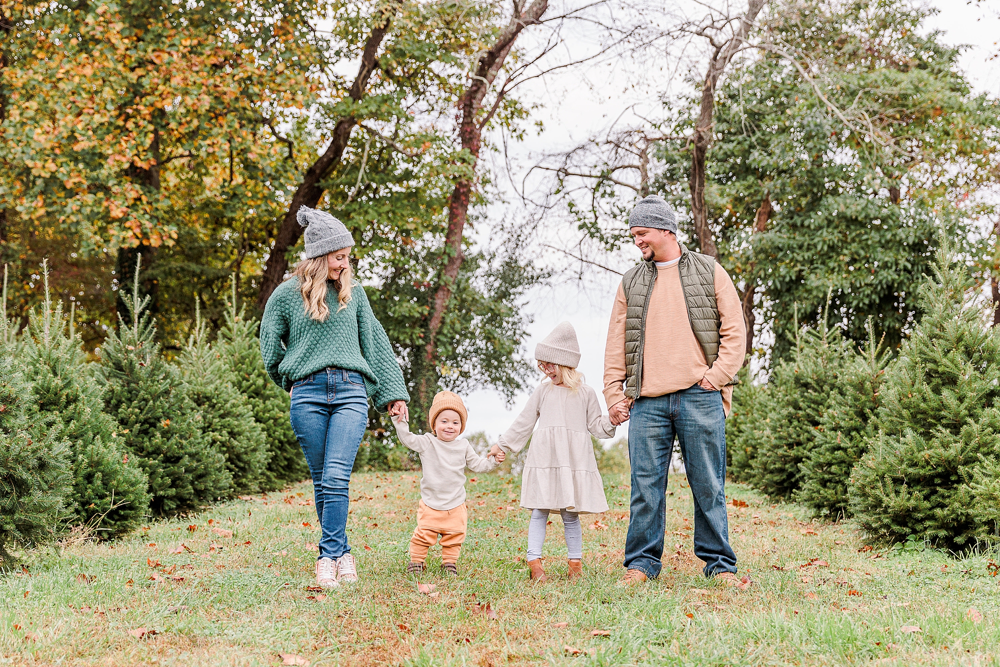 family of four holds hands walking through rows of Christmas trees