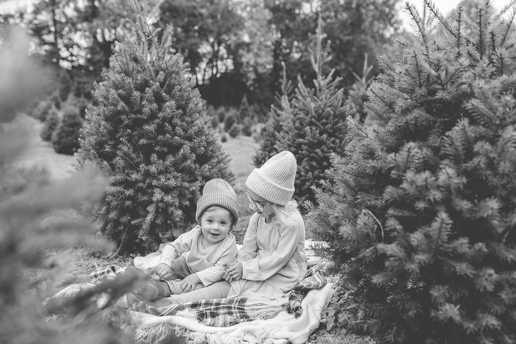 siblings sit on blanket between Christmas trees