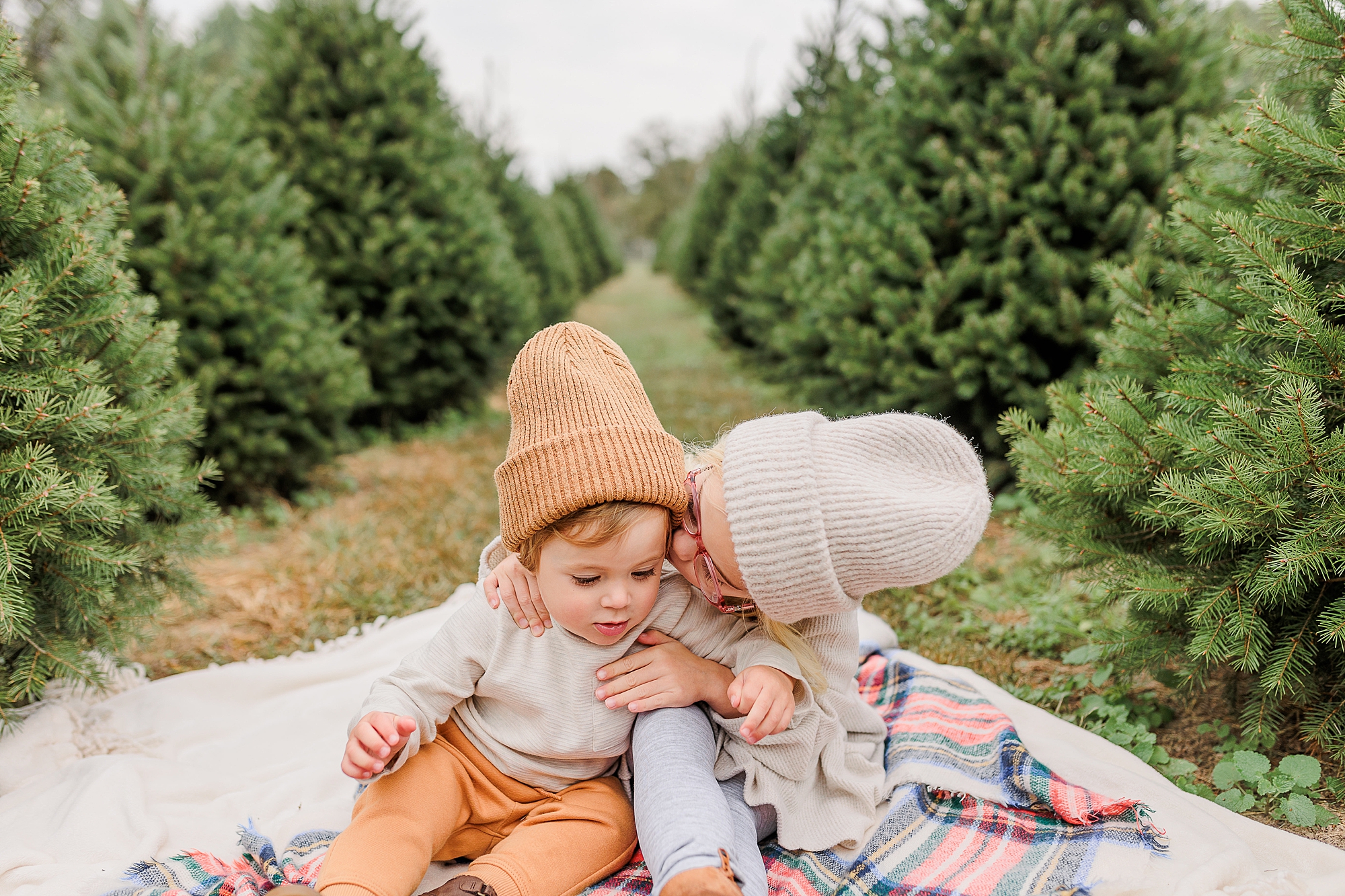 girl kisses brother's cheek siting on blanket during Christmas tree farm portraits