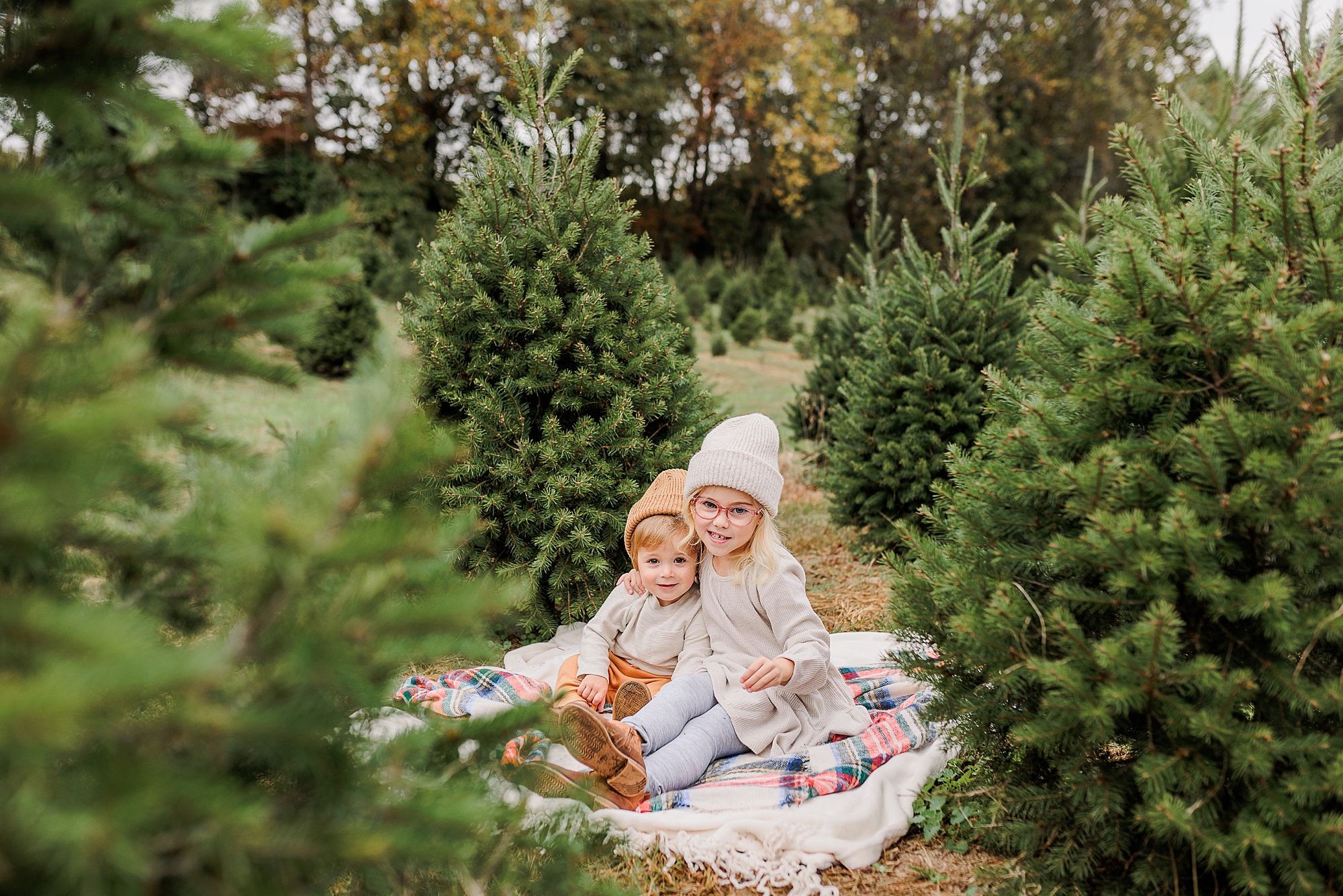 siblings sit together between rows of trees at Christmas tree farm