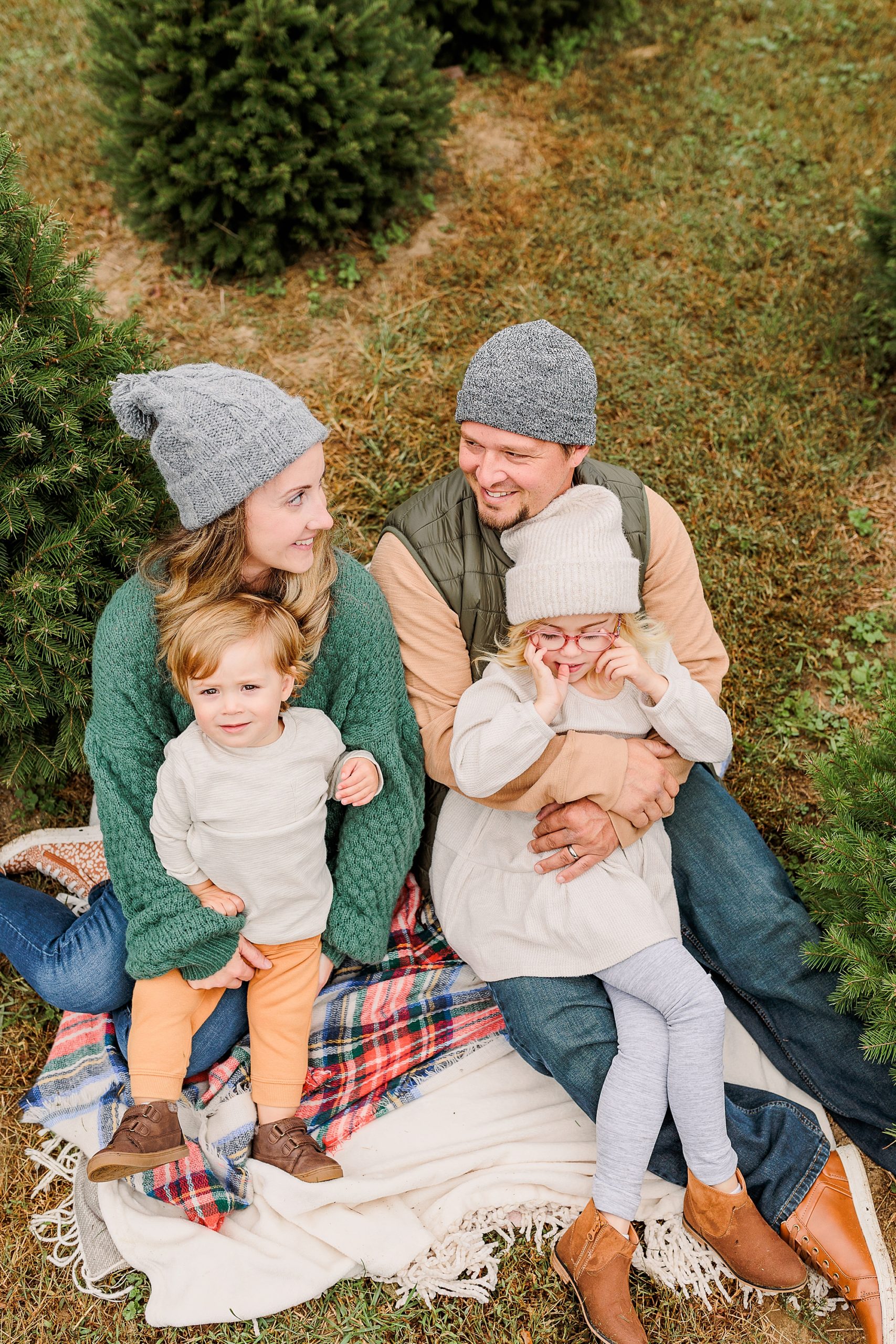 parents laugh holding kids on lap during Christmas tree farm portraits