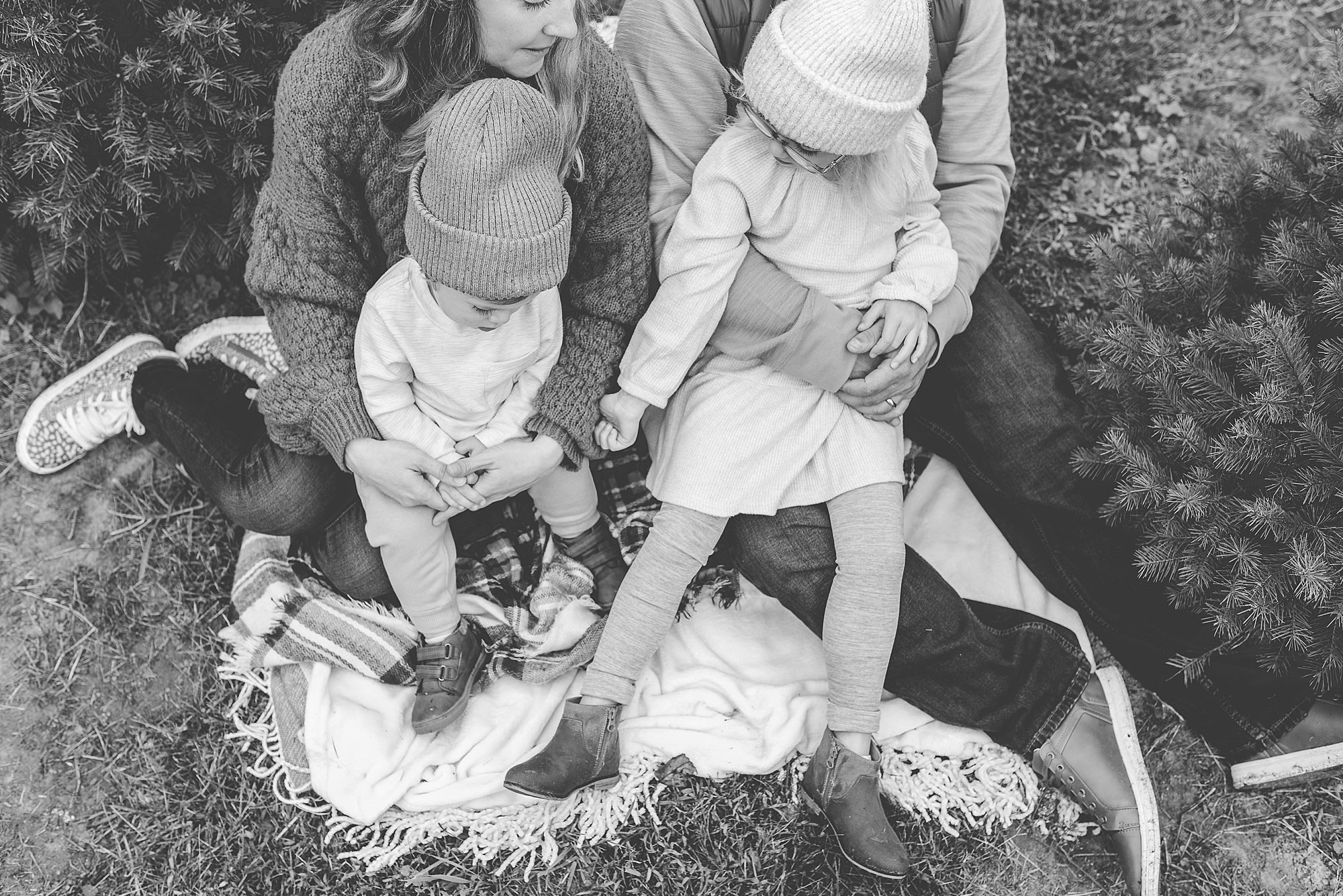 family sits on blanket during Maryland Christmas tree farm portraits