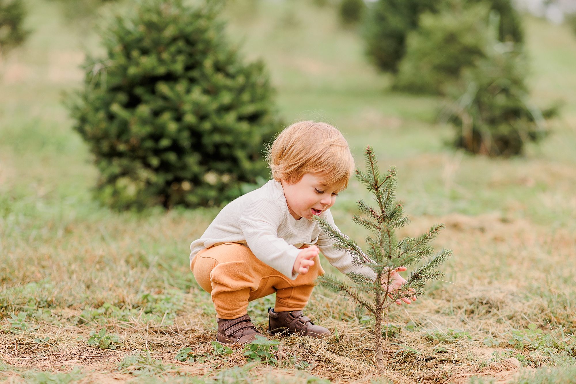 toddler plays with baby Christmas tree