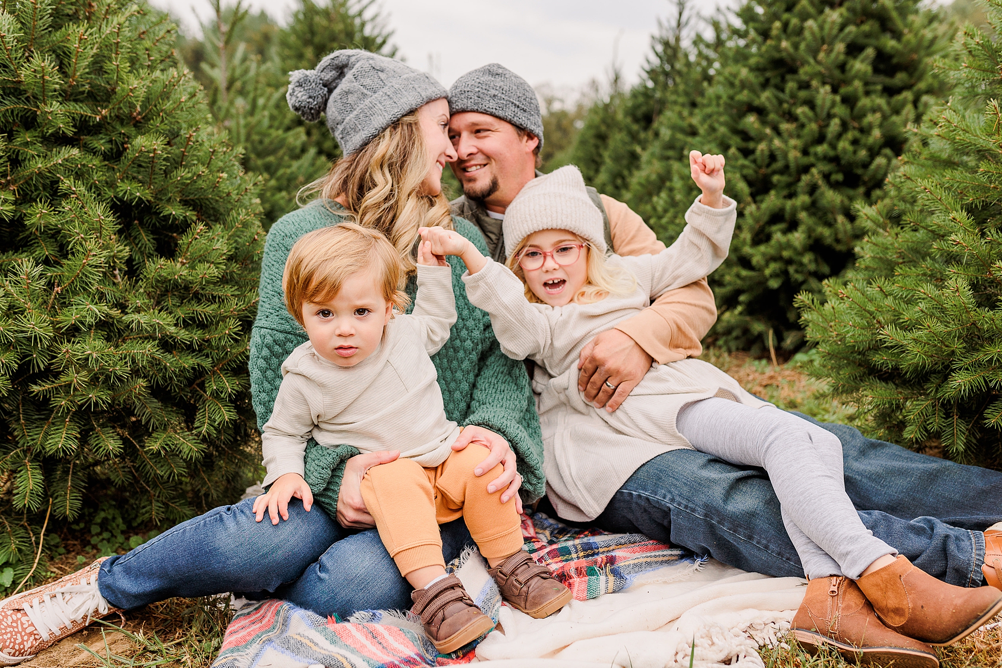 parents lean for kiss with kids on lap during Christmas tree farm portraits