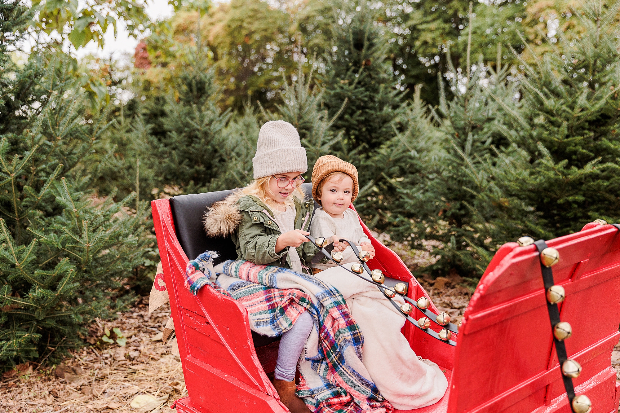 siblings sit in red sleigh for holiday portraits in Maryland