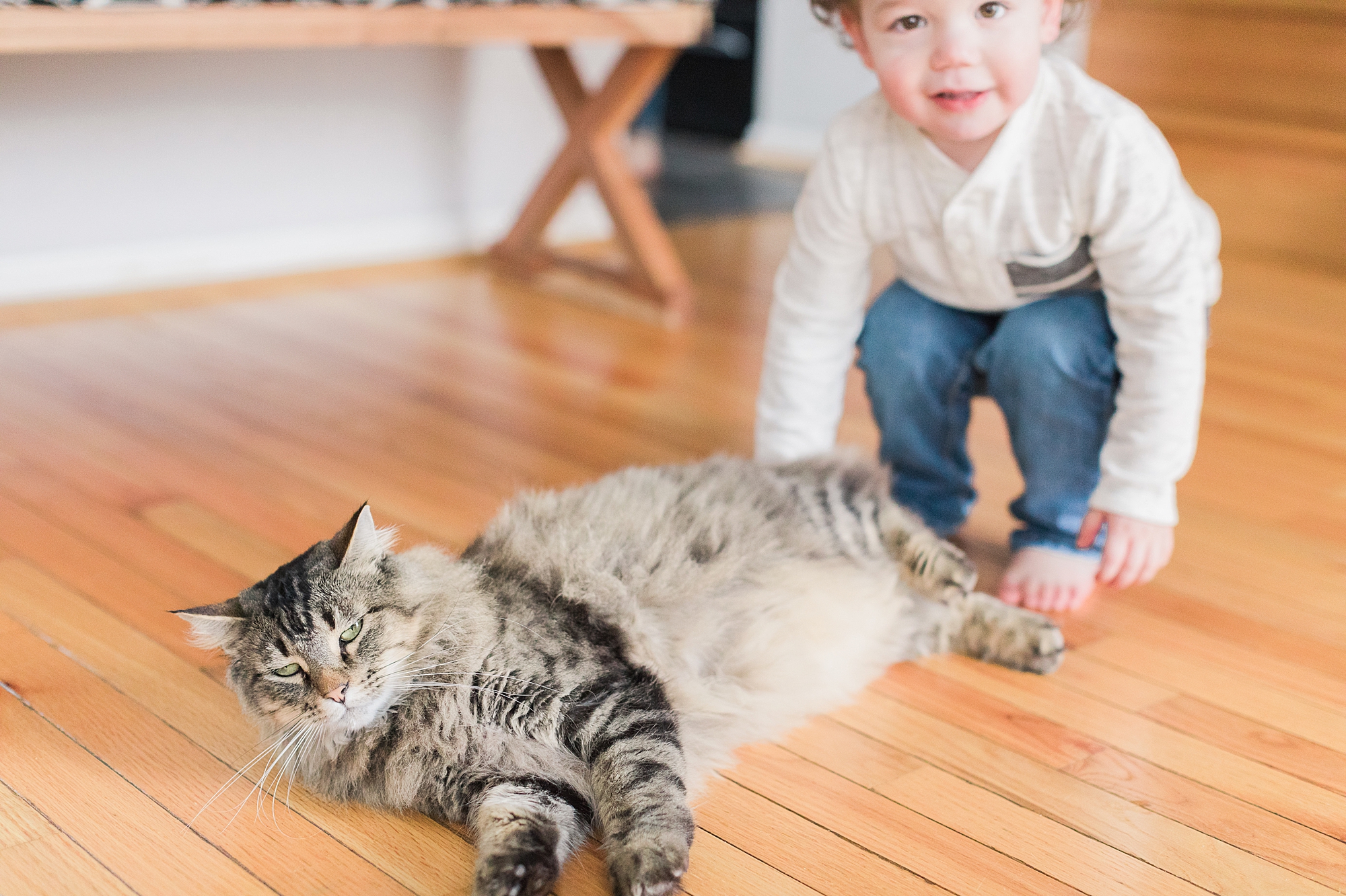 boy plays with cat on wooden floor at home