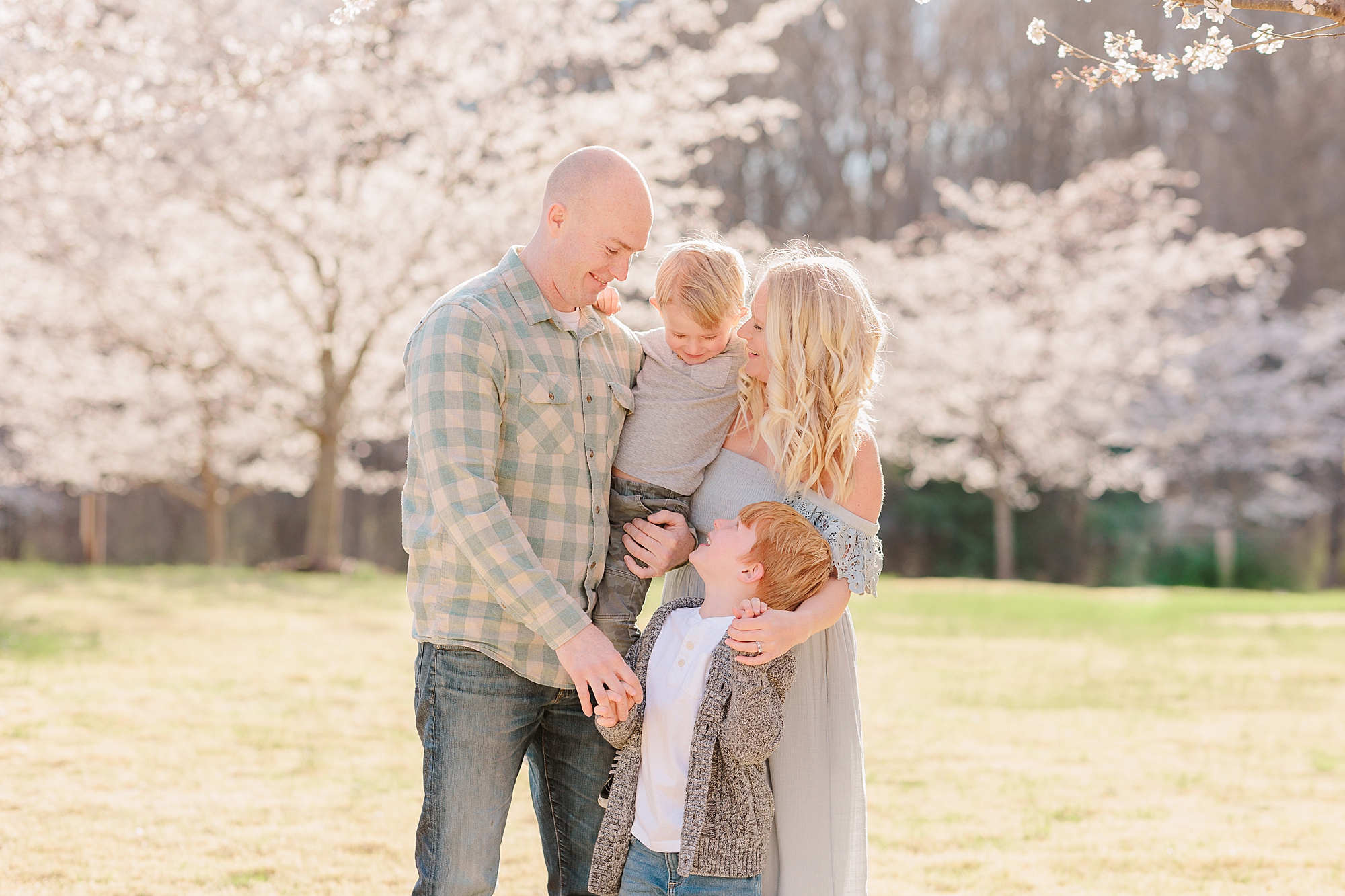 family of four stands by cherry blossoms in Howard County MD