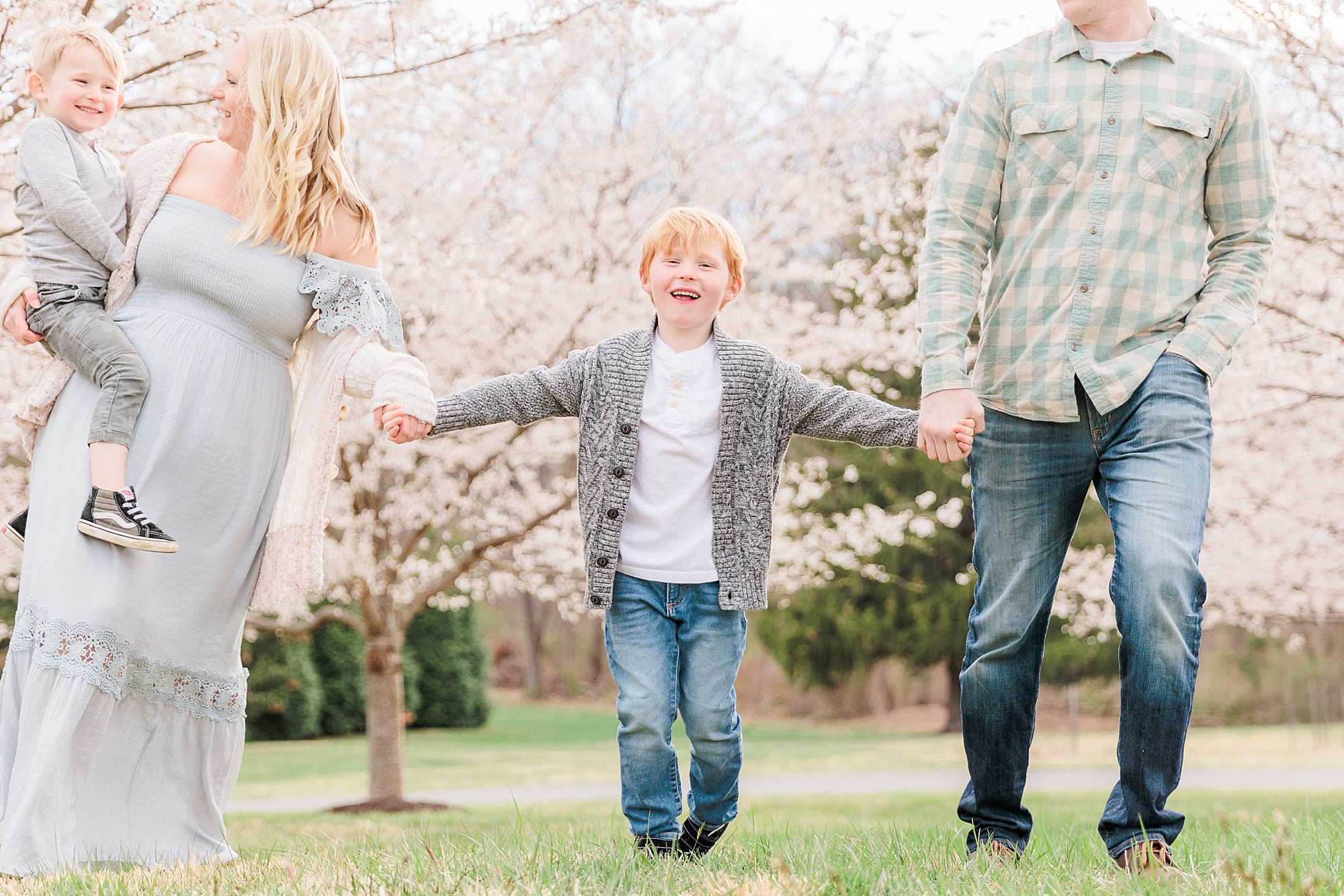 parents hold son's hand walking by cherry blossoms during Howard County family portraits