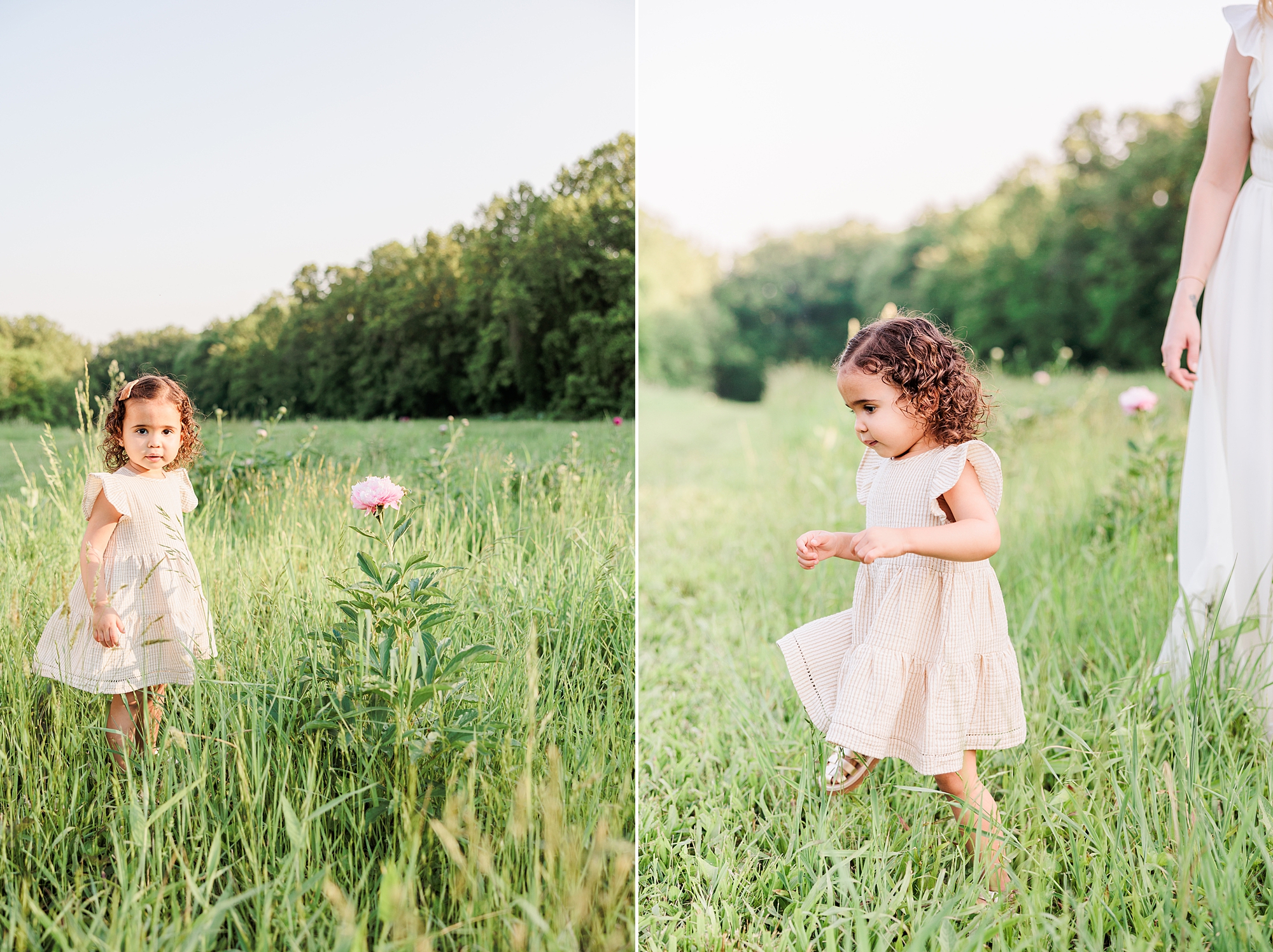 little girl runs around field with pink peony