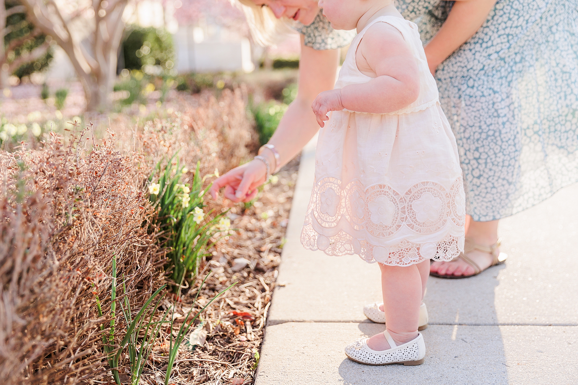 girl in pink dress points to flowers during DC family photos