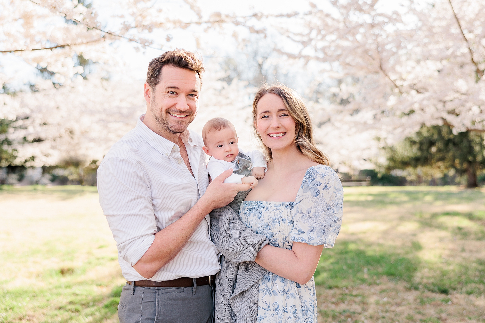 family of three poses in cherry blossom trees during photos in DC