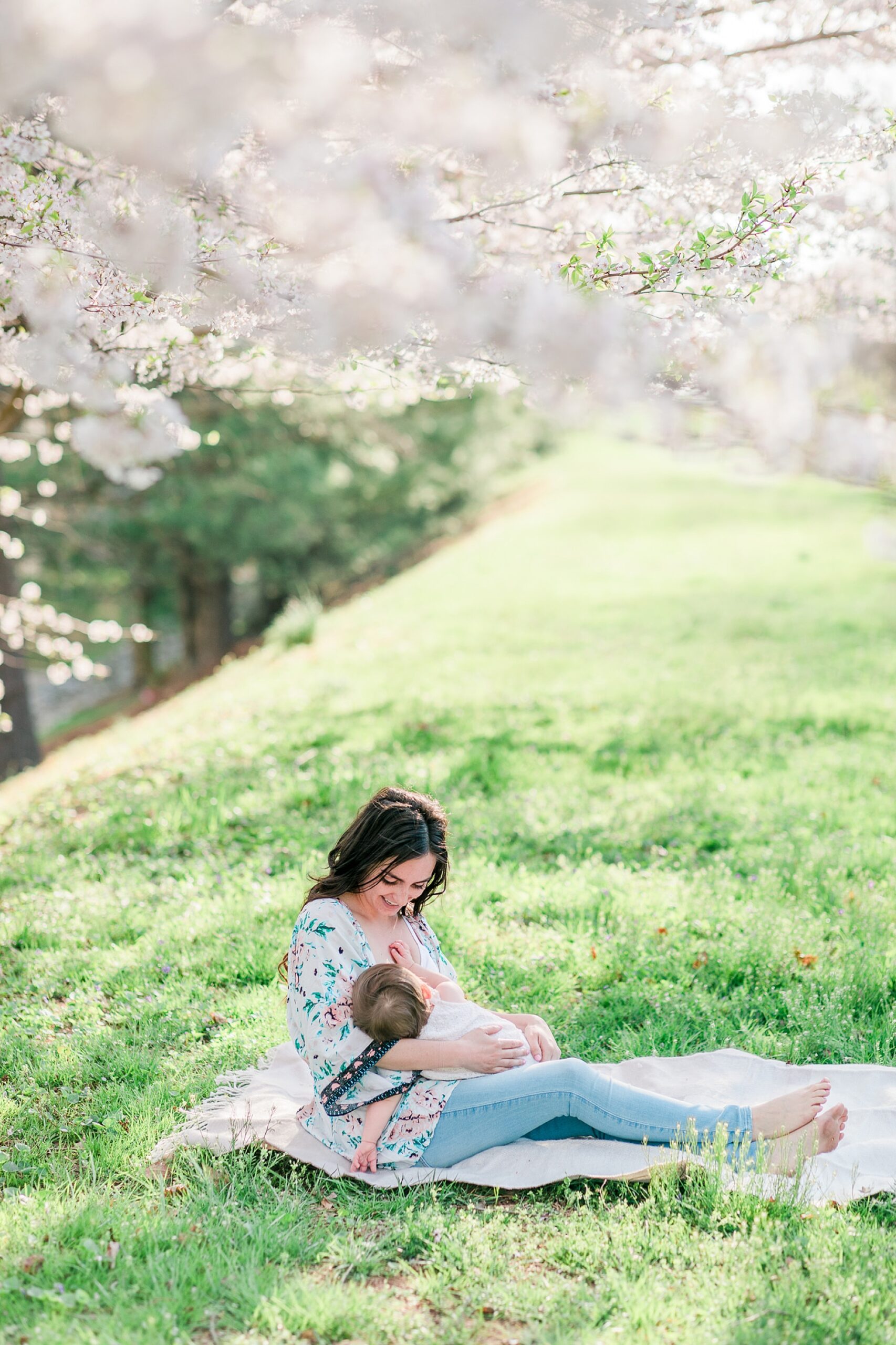 mom nurses baby on lawn between cherry blossom trees in Maryland