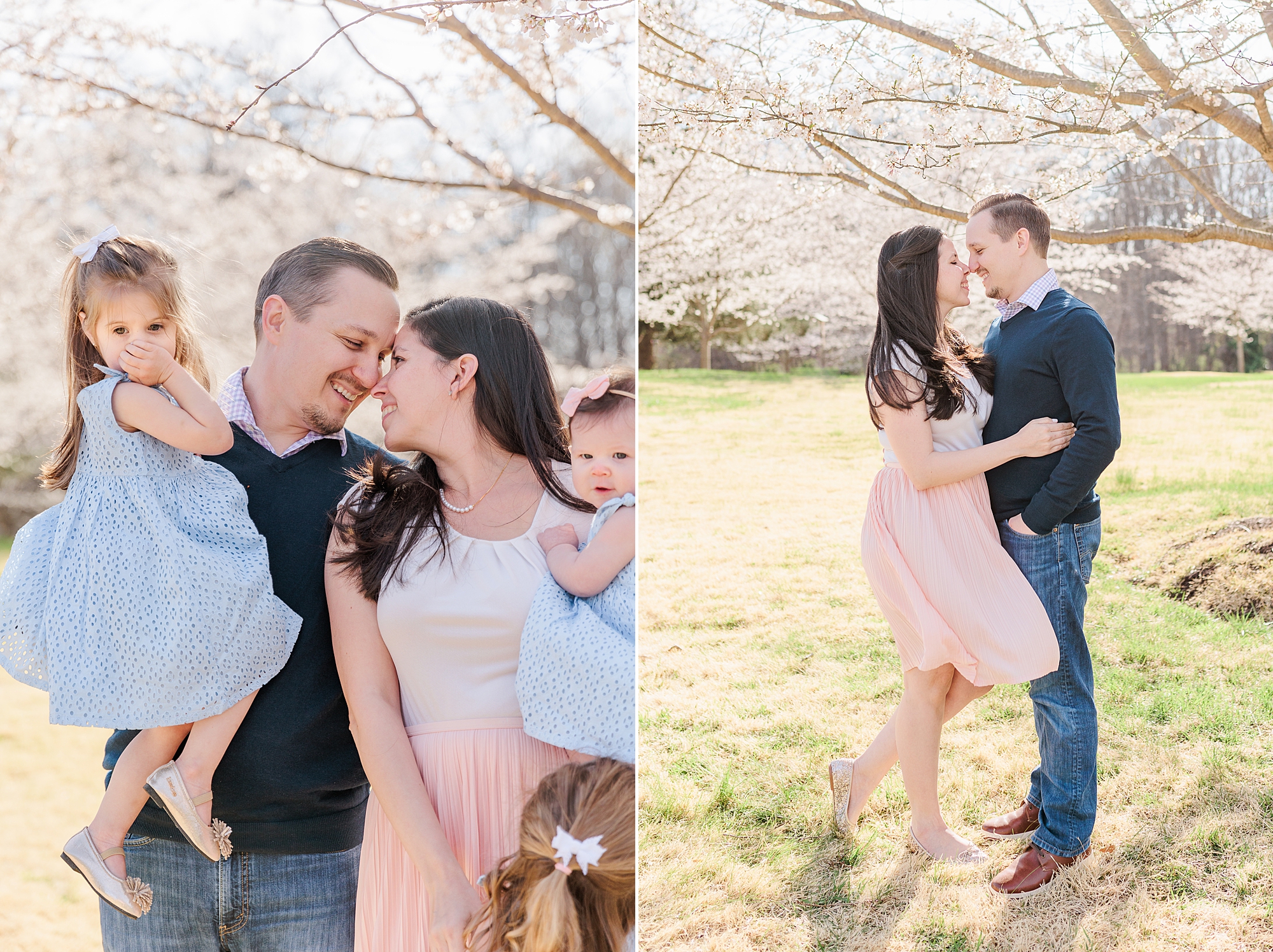 parents hug under cherry blossom tree with daughters in blue dresses hugging them