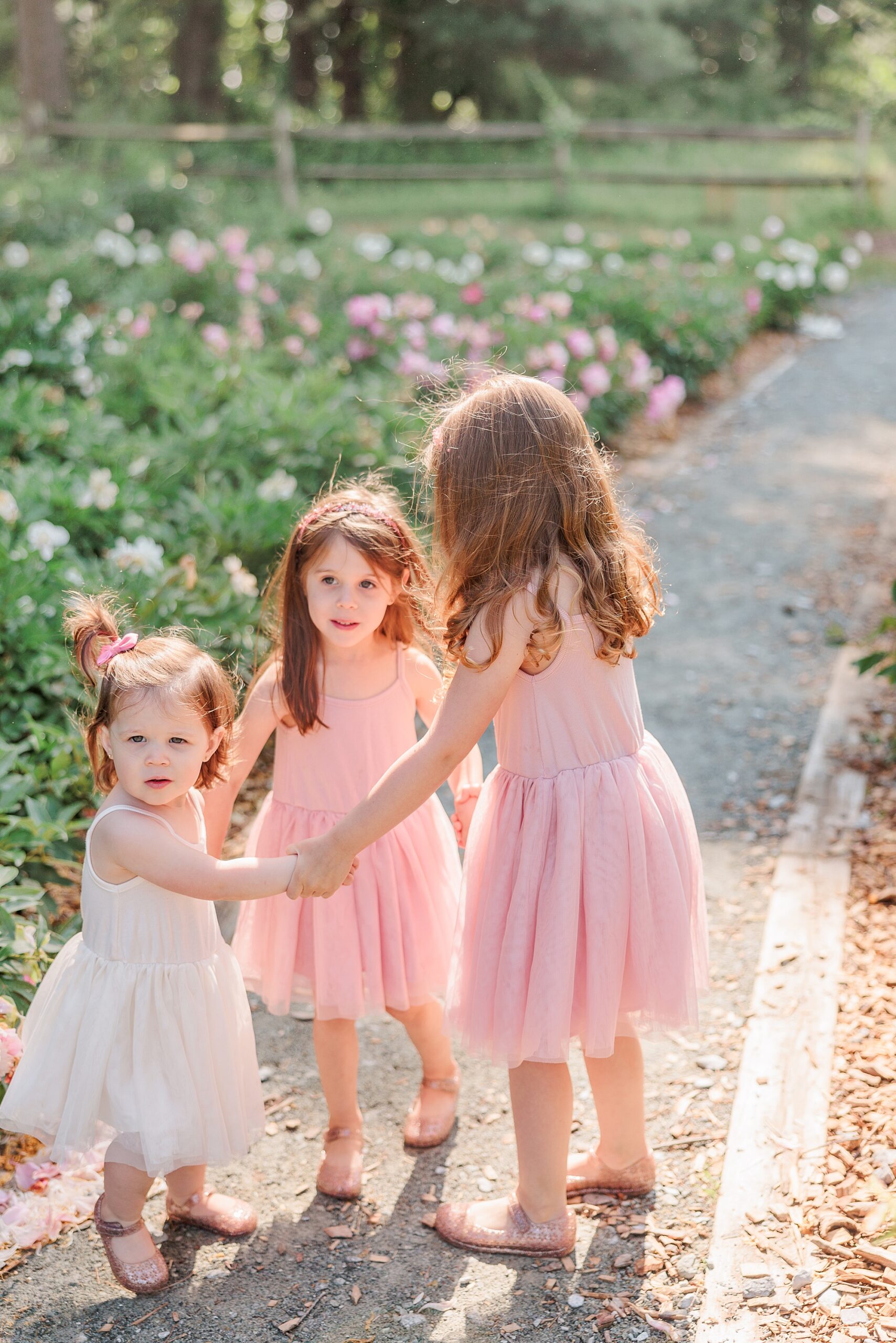 three girls hold hands in circle on path during family photos in Maryland
