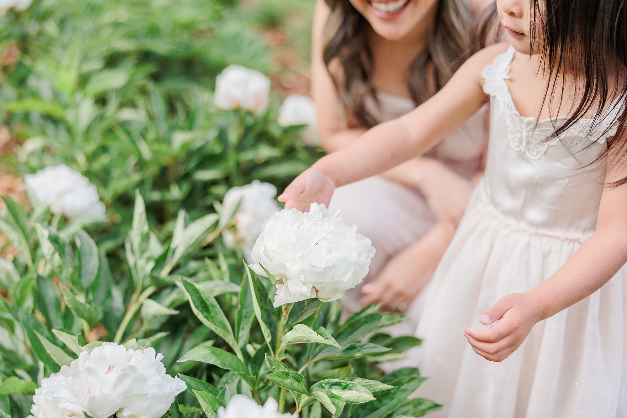 little girl in white dress reaches for white peony in Gaithersburg MD