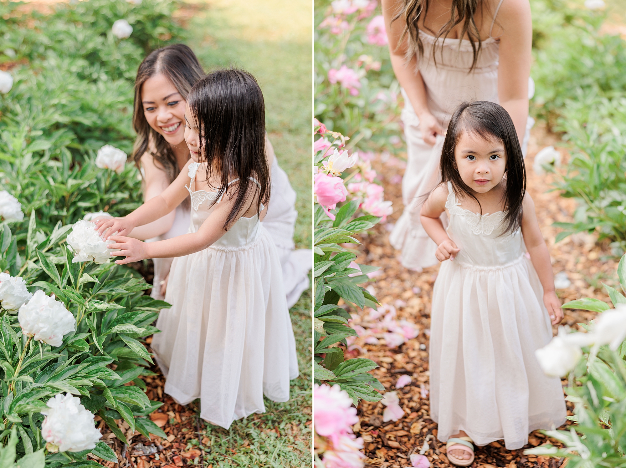 woman walks down line of peonies with toddler daughter in Maryland