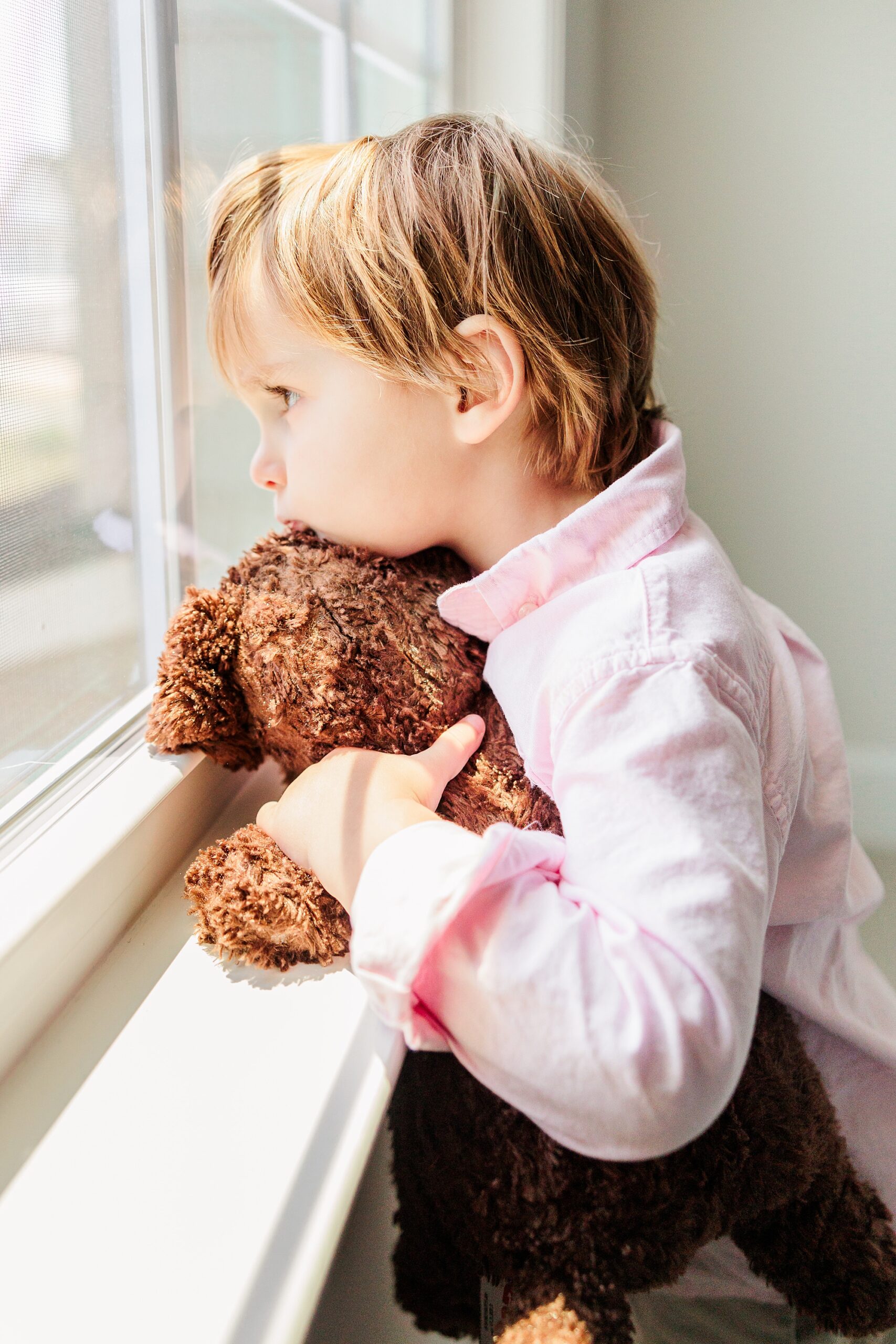 toddler holds bear looking out window during family photos 