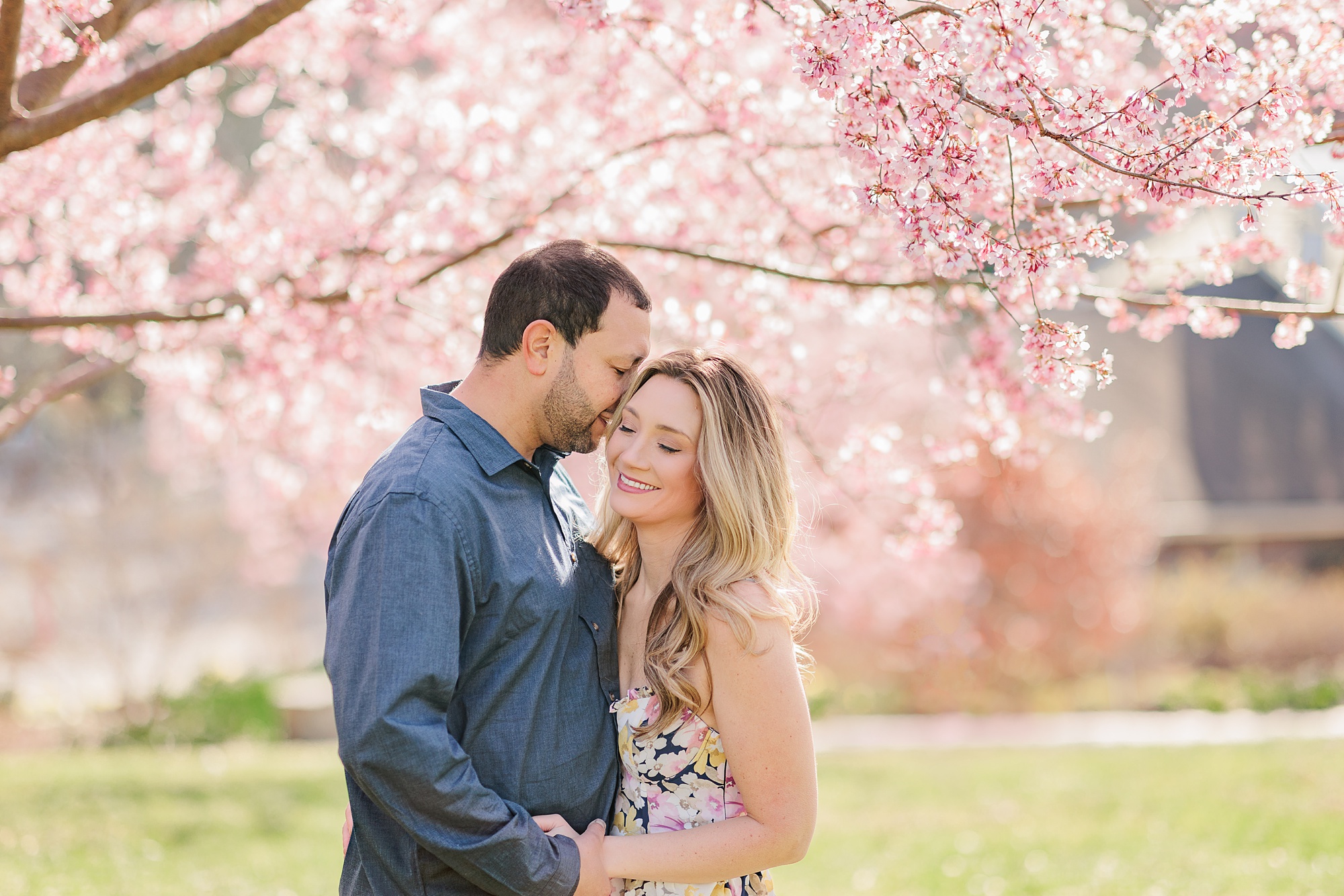 couple hugs in front of pink cherry blossoms during spring family portraits with Northern Virginia family photographer Christina Tundo Photography