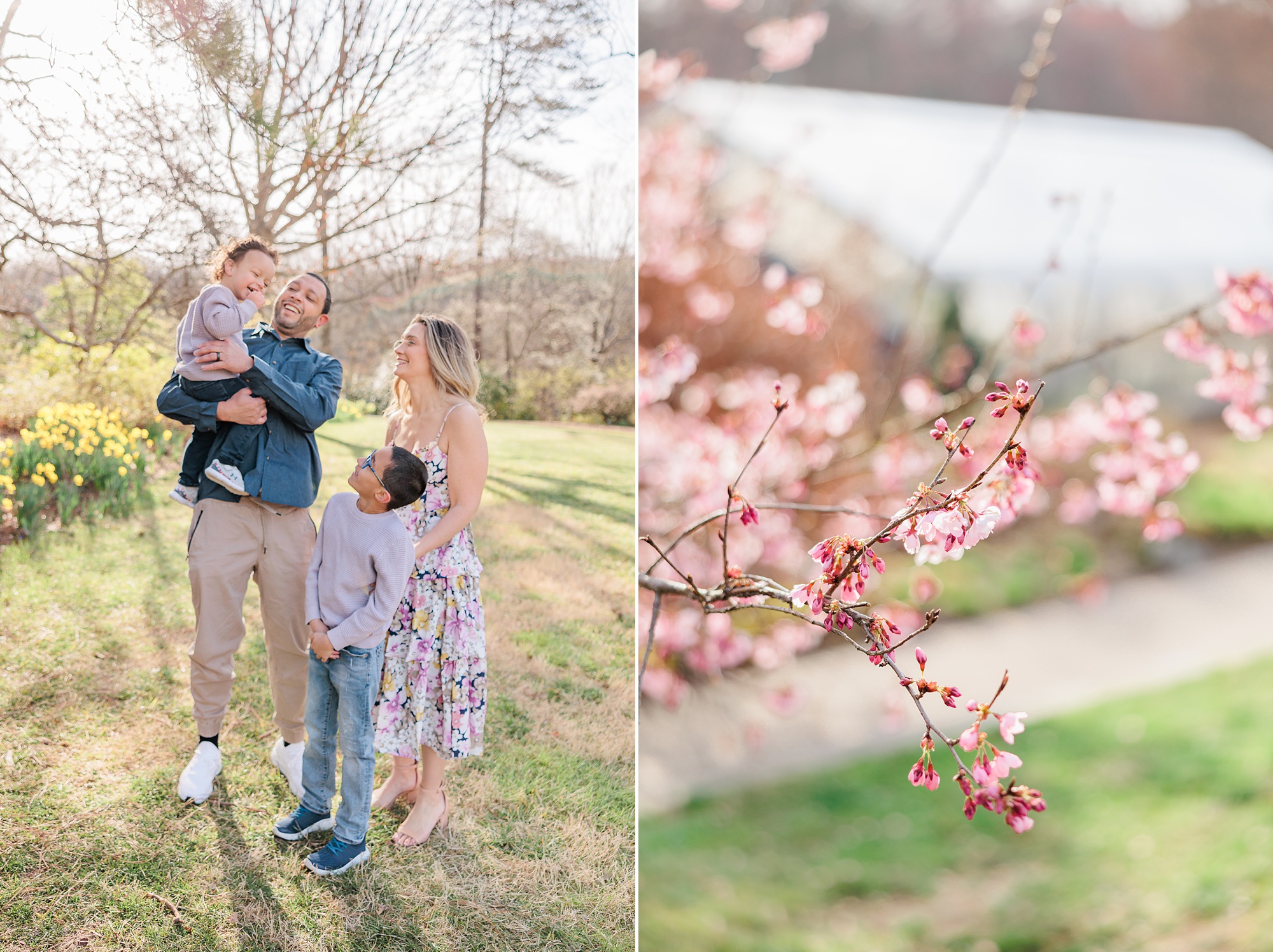 spring family portraits with Northern Virginia family photographer Christina Tundo Photography